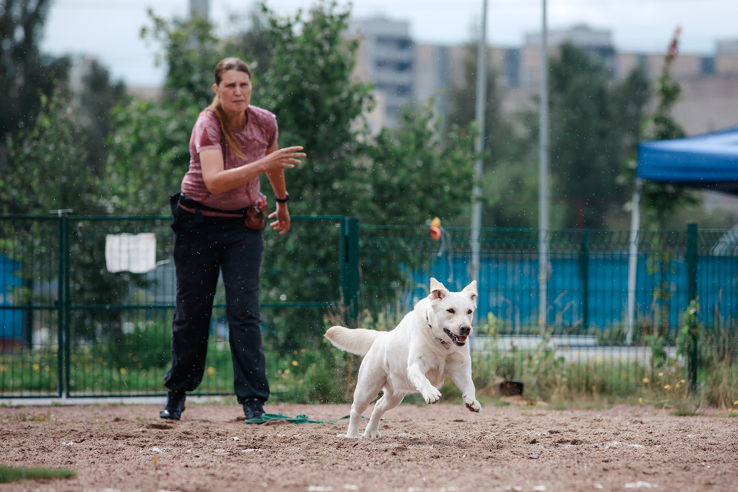 Питч&Гоу + веселые старты. Фотограф-анималист Mary Mart — Москва, Питер