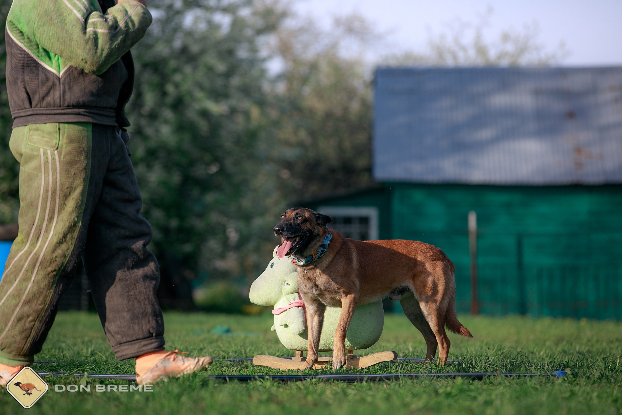 Семинар для фигурантов, день 4. Фотограф-анималист Mary Mart — Москва, Питер
