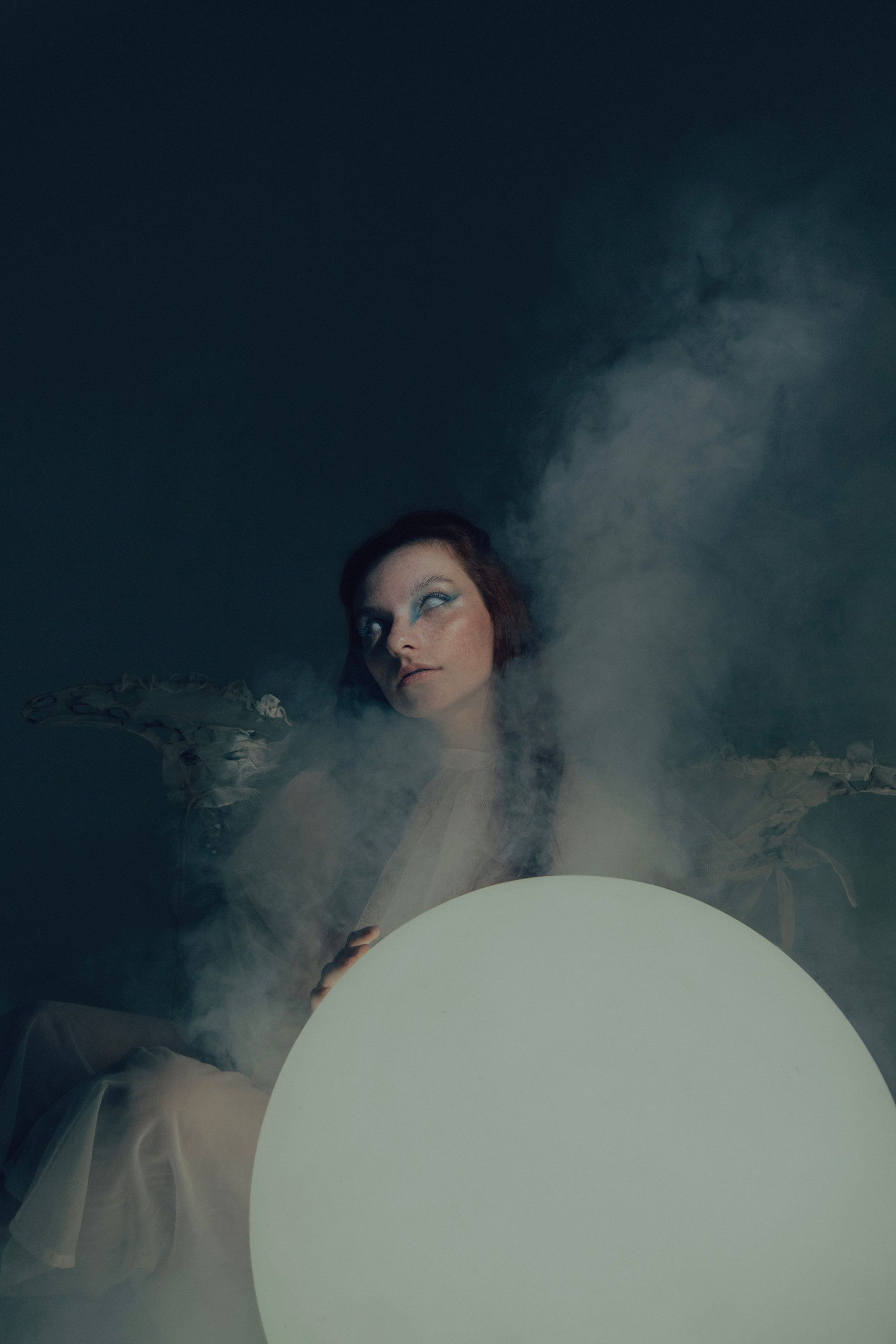 Мотылек. Фотограф Anita Mivchas