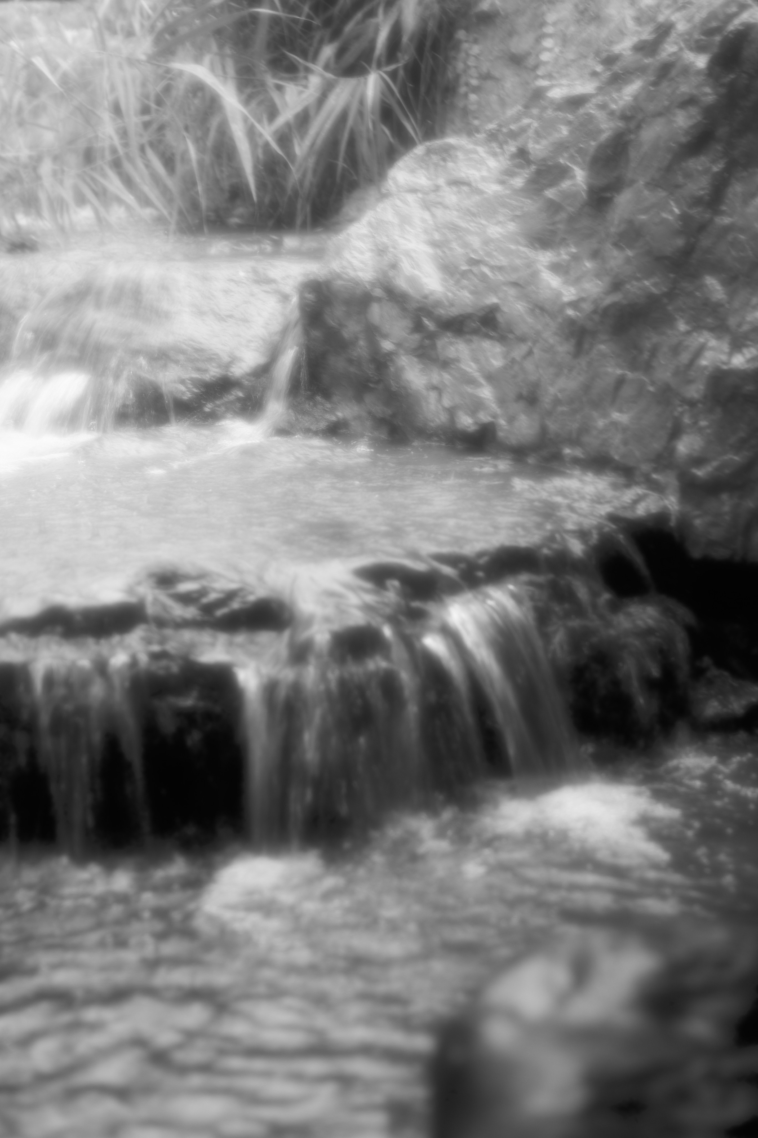 Raining in Japanese Garden. Fashion Photographer Oxana Chernomorets