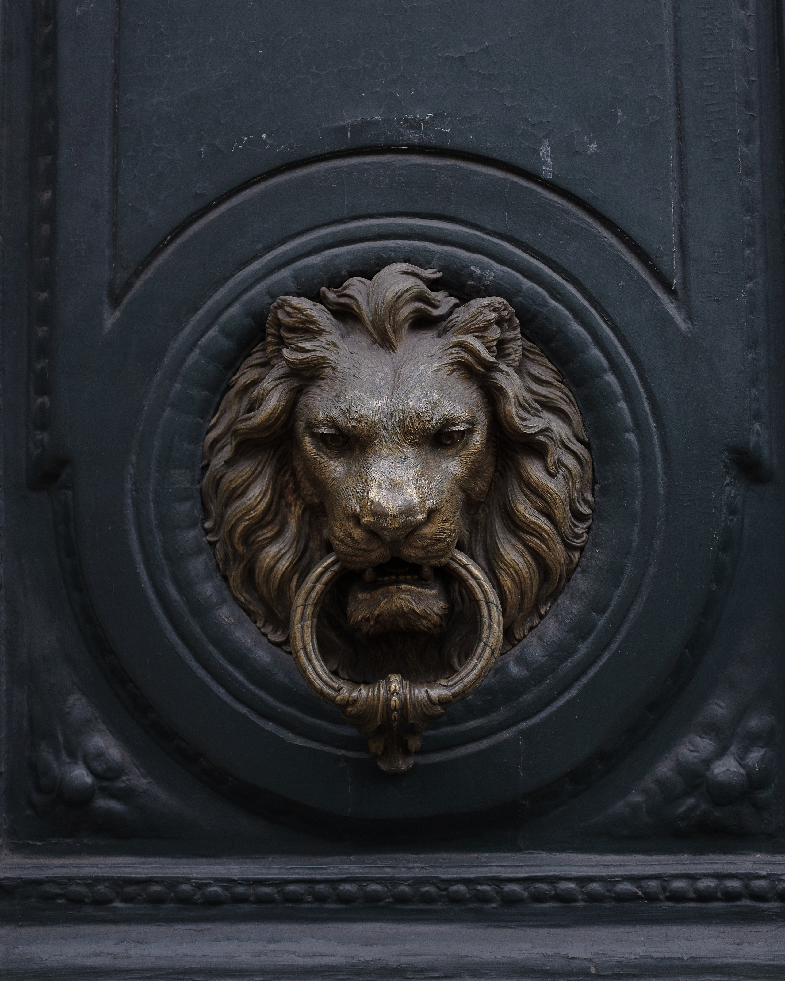 Франция. Фотограф Екатерина Катунова | Москва