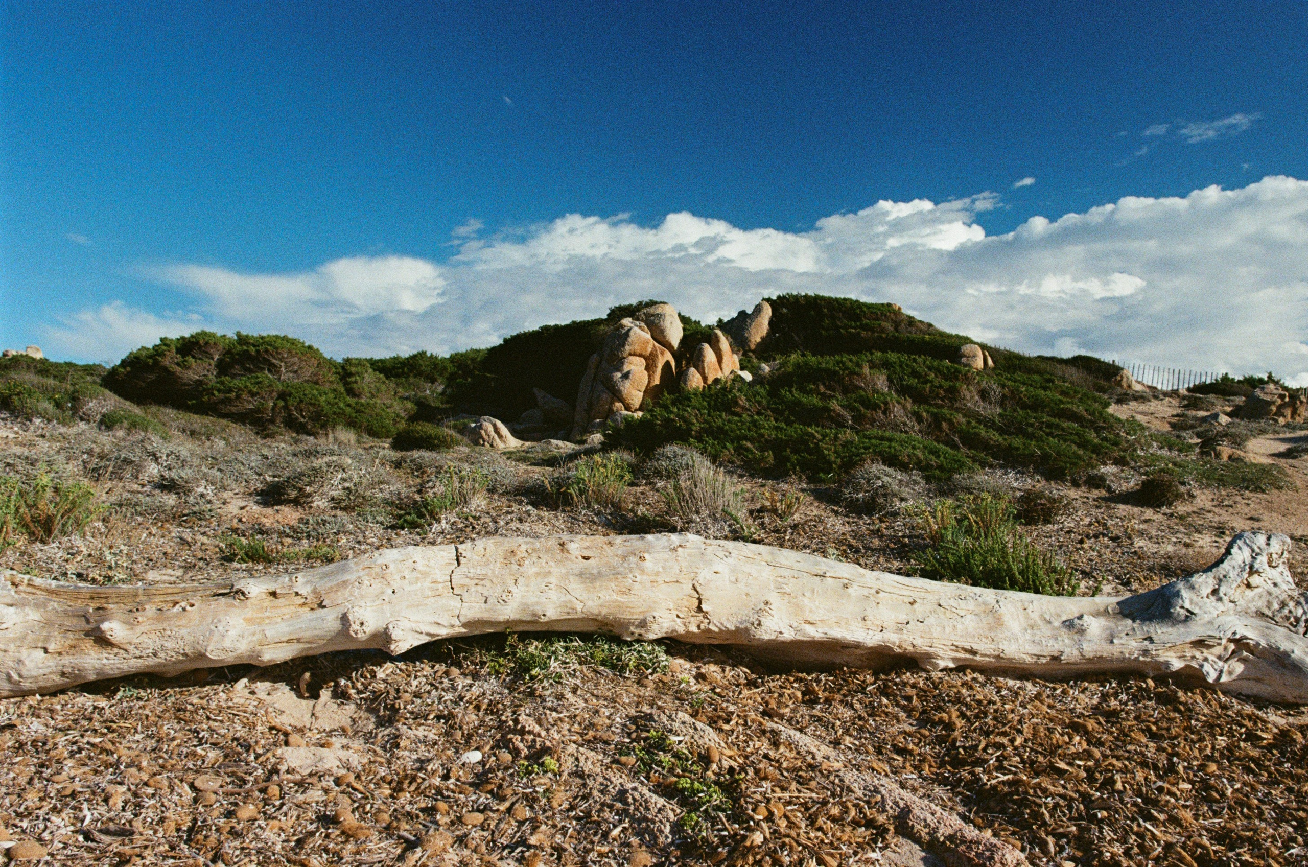 Silence is also an answer // corsica III. EVER EXPOSED