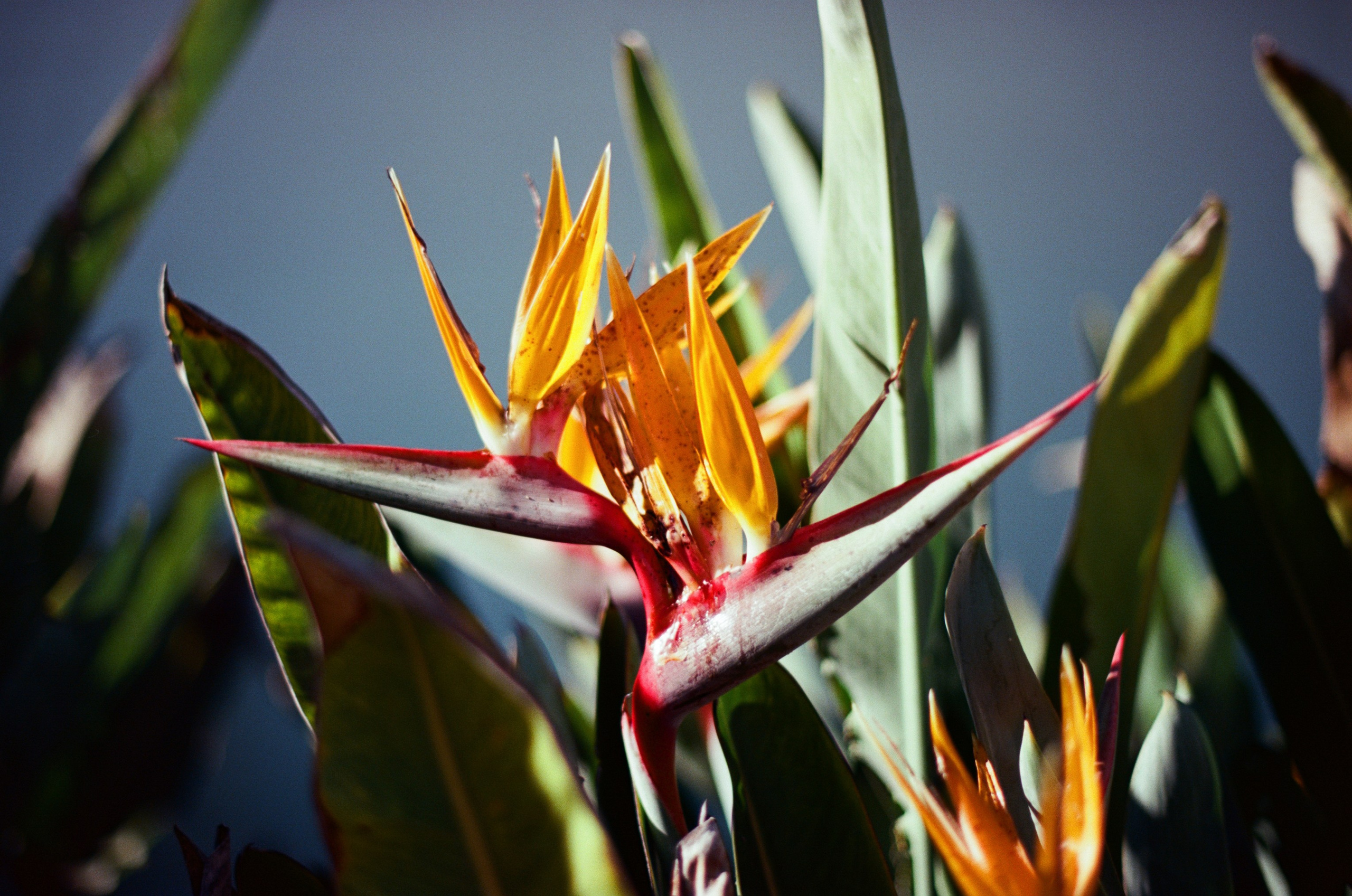 I think i'm ok // portugal, lagos. EVER EXPOSED