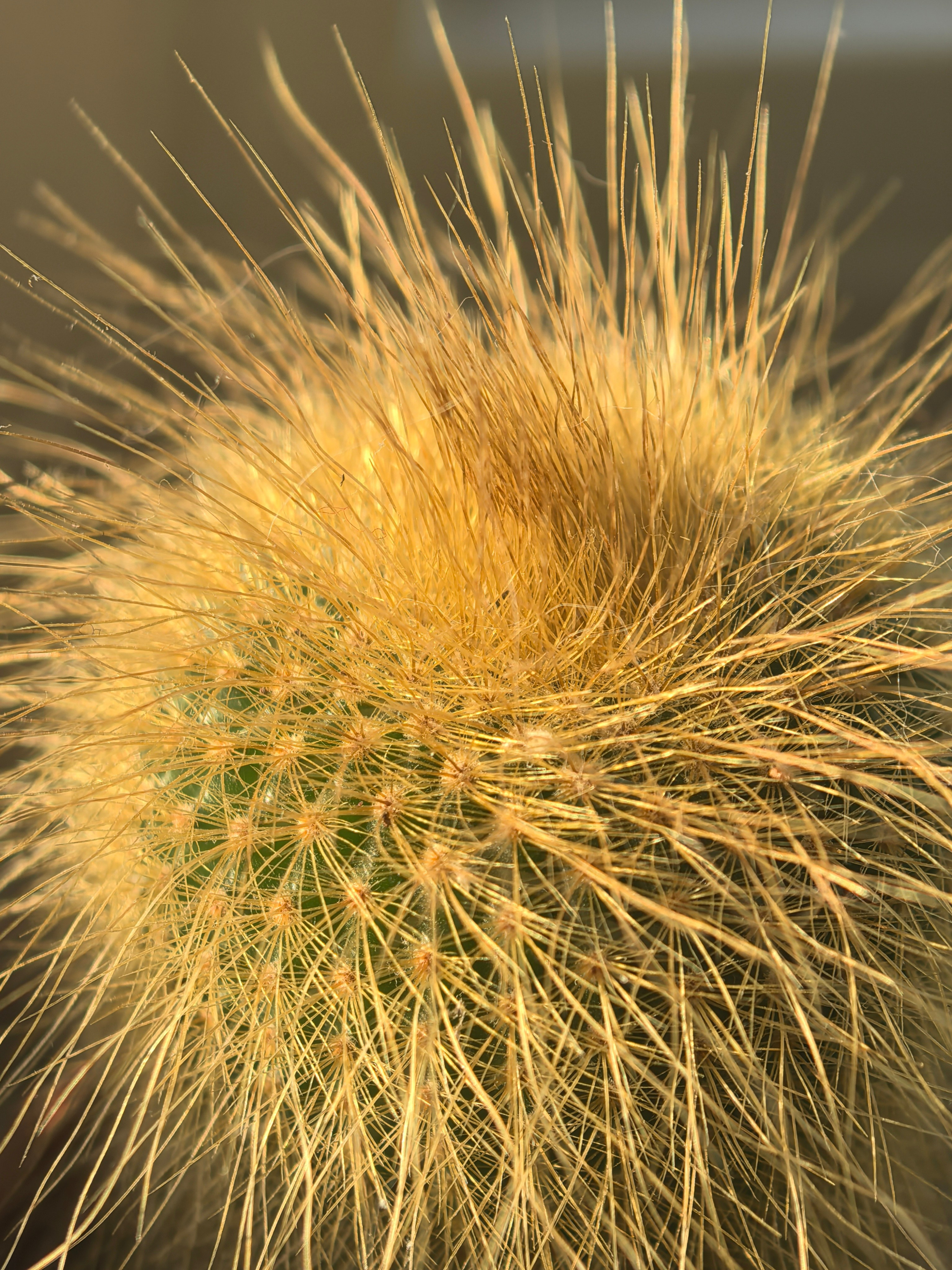 ПочтиМАКРО. Школьные выпускные альбомы в Москве Марина Николаева