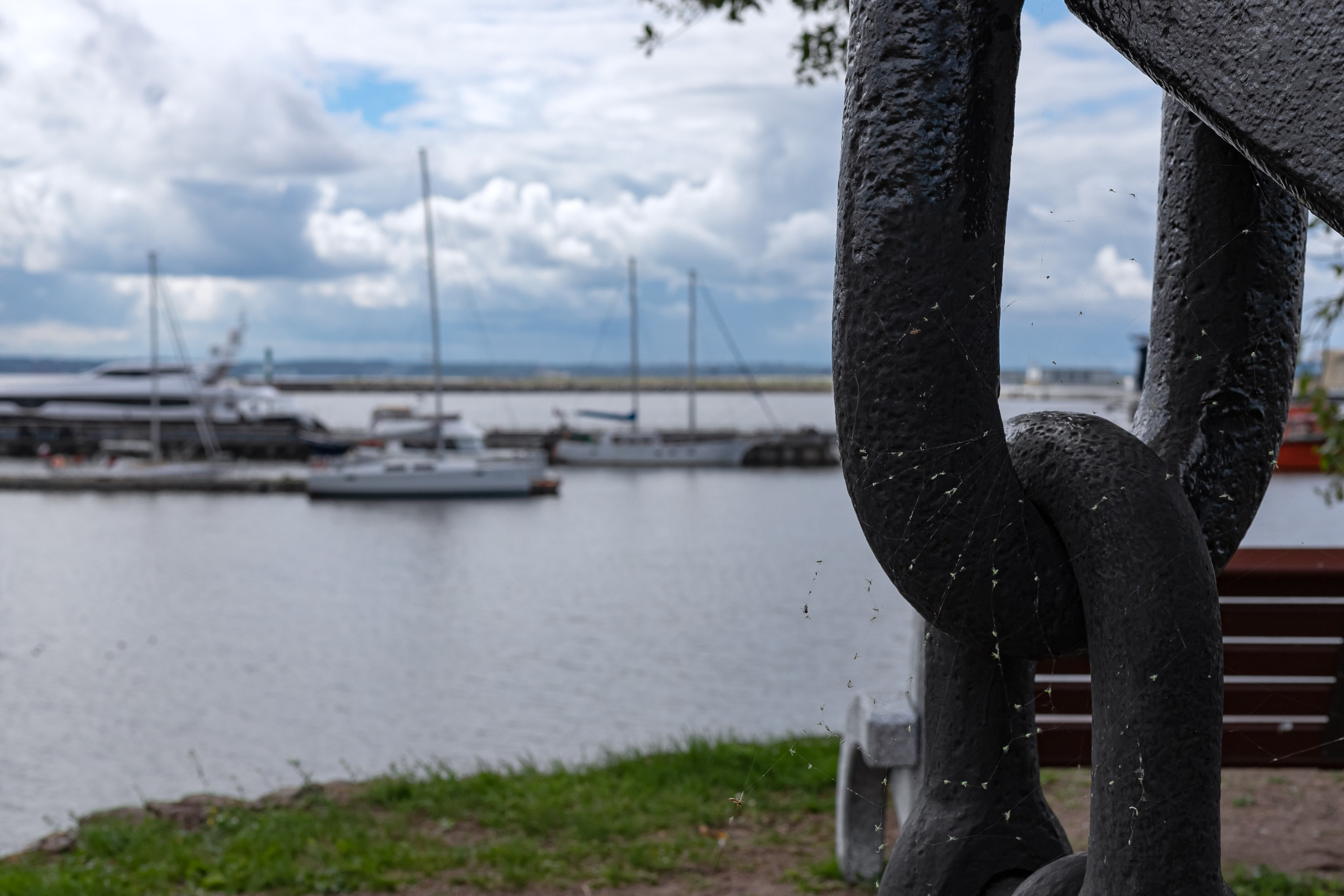 Пейзажи. Фотограф в Санкт-Петербурге Наталия Денисова