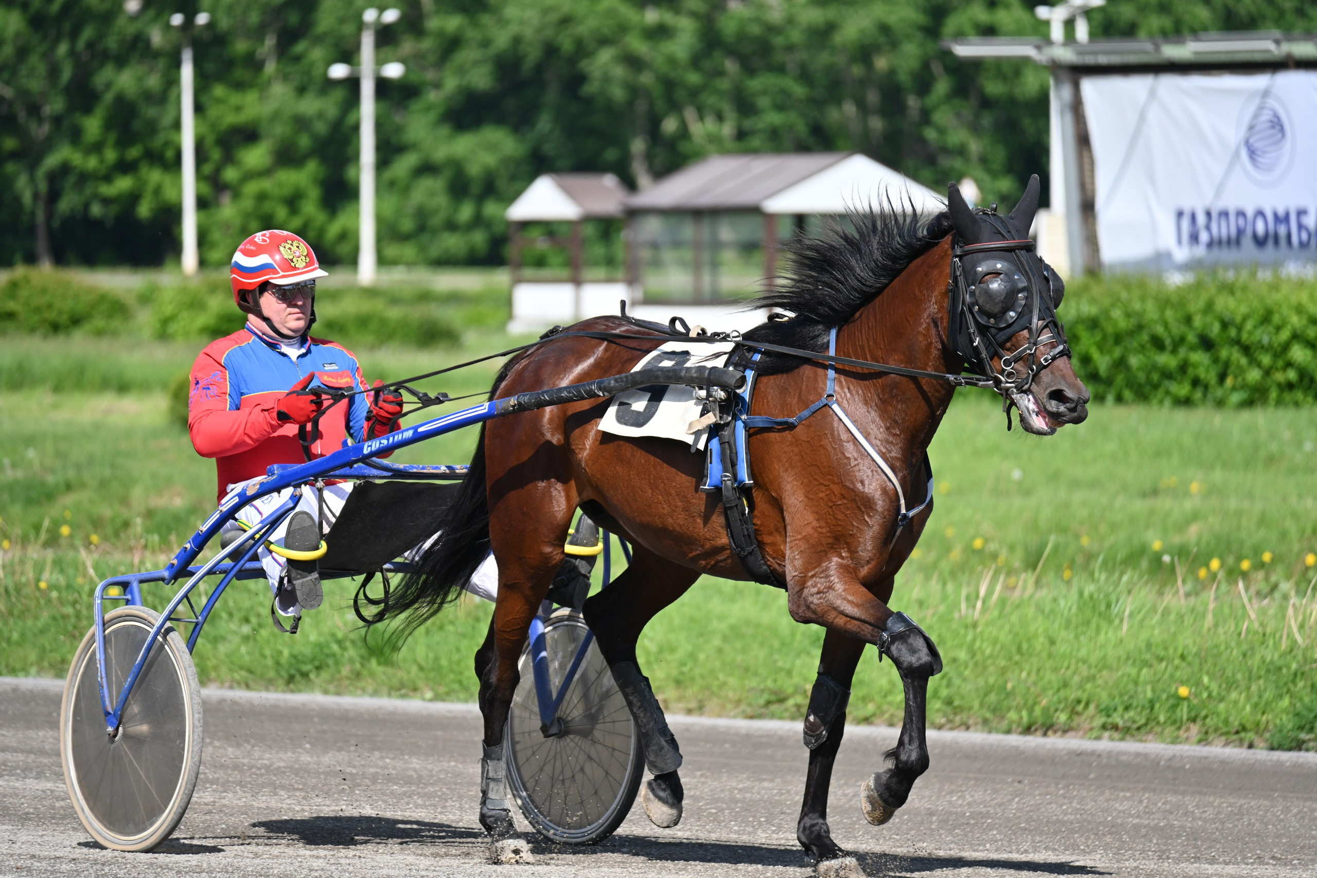 Ипподром (Москва). Fotolux