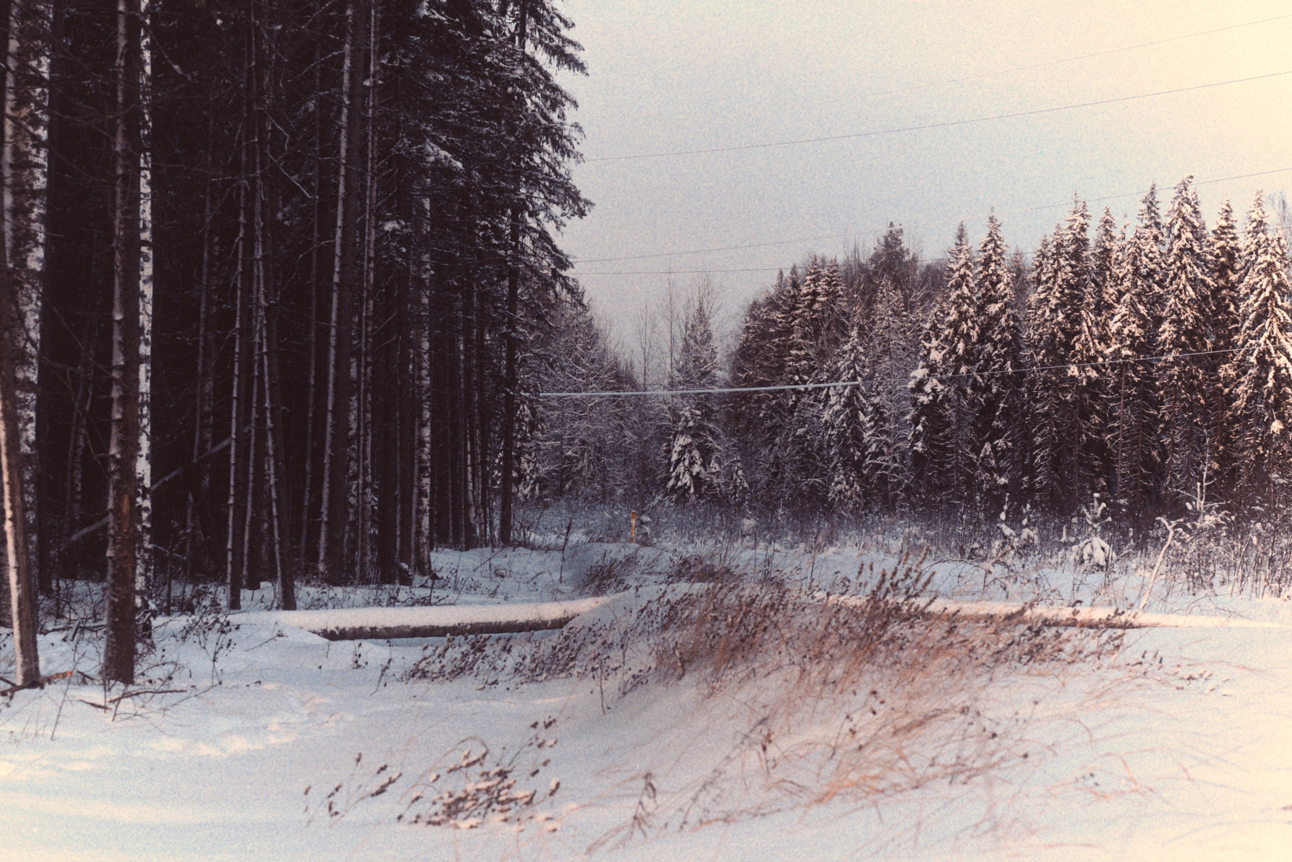 Пейзажи. Фотограф-любитель из Кирова Андрей Погребняк