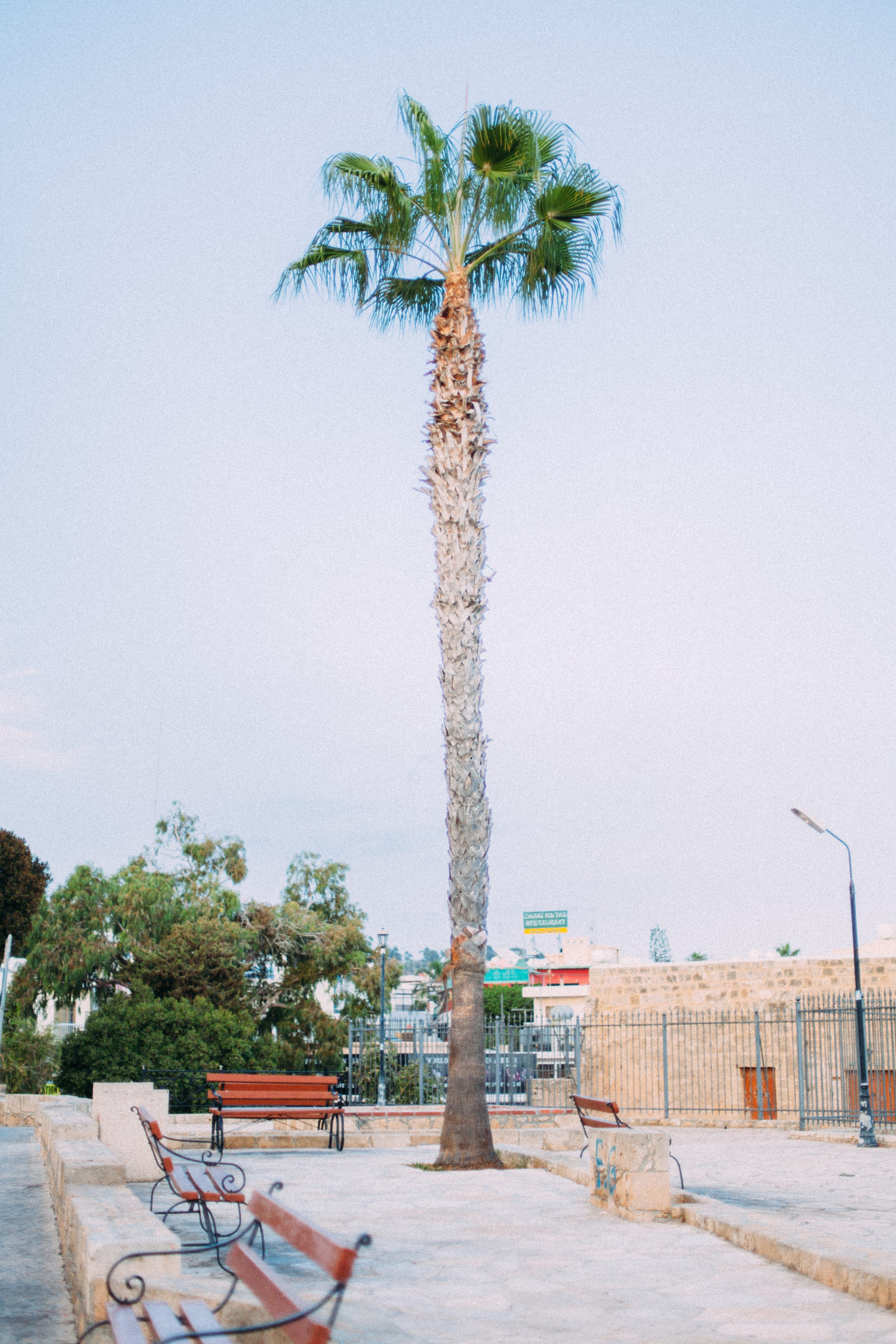 Кипр. Аня Степанова