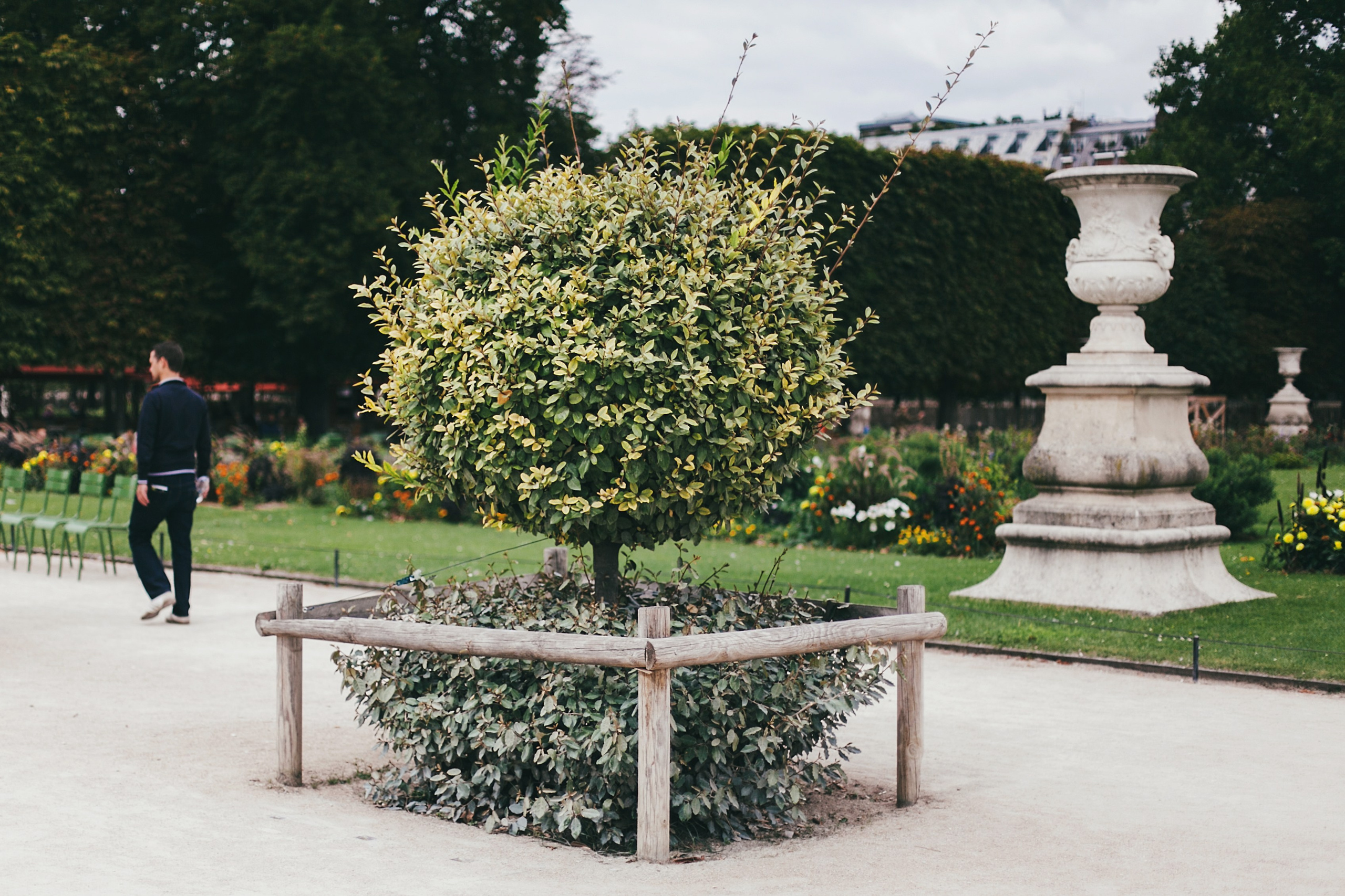 Париж. Аня Степанова