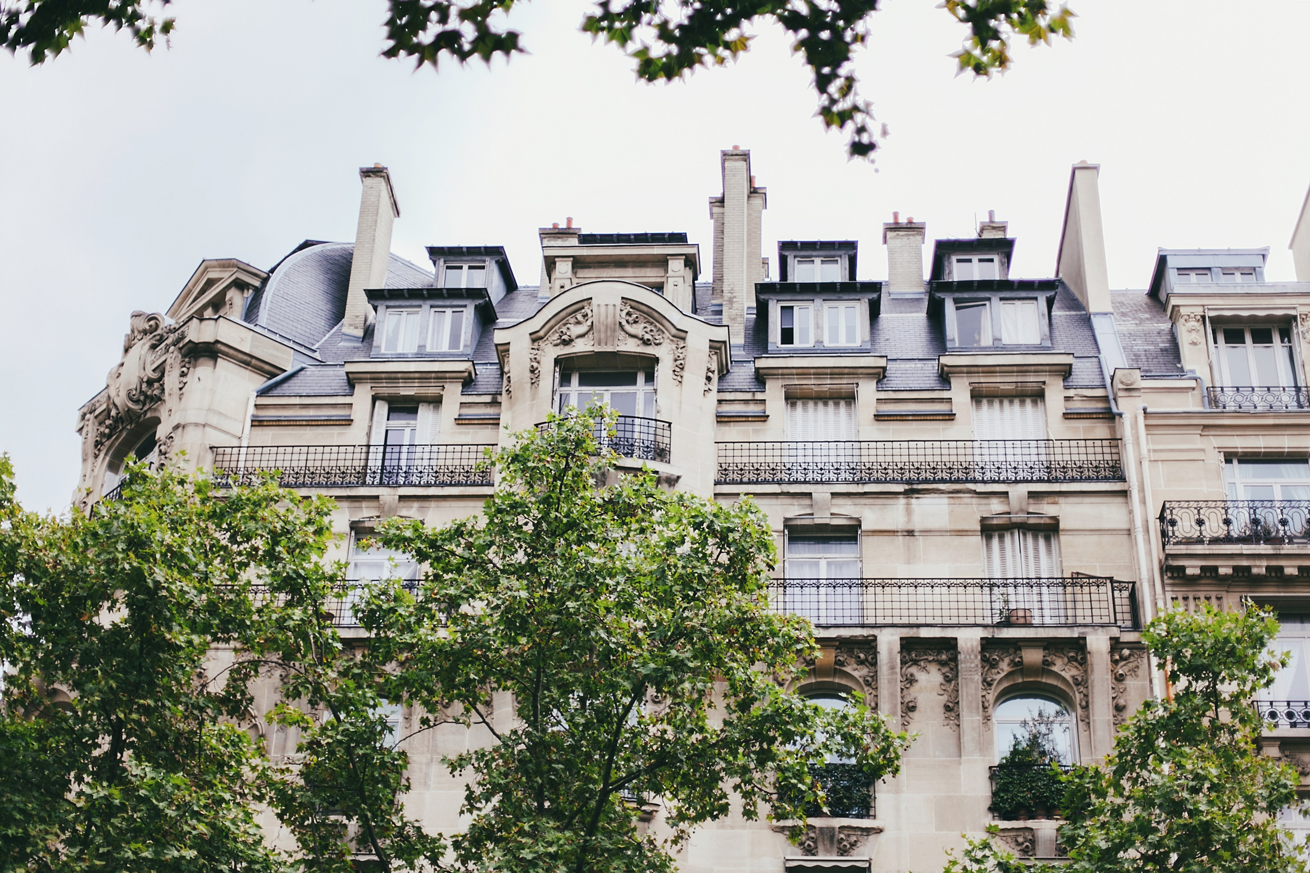 Париж. Аня Степанова