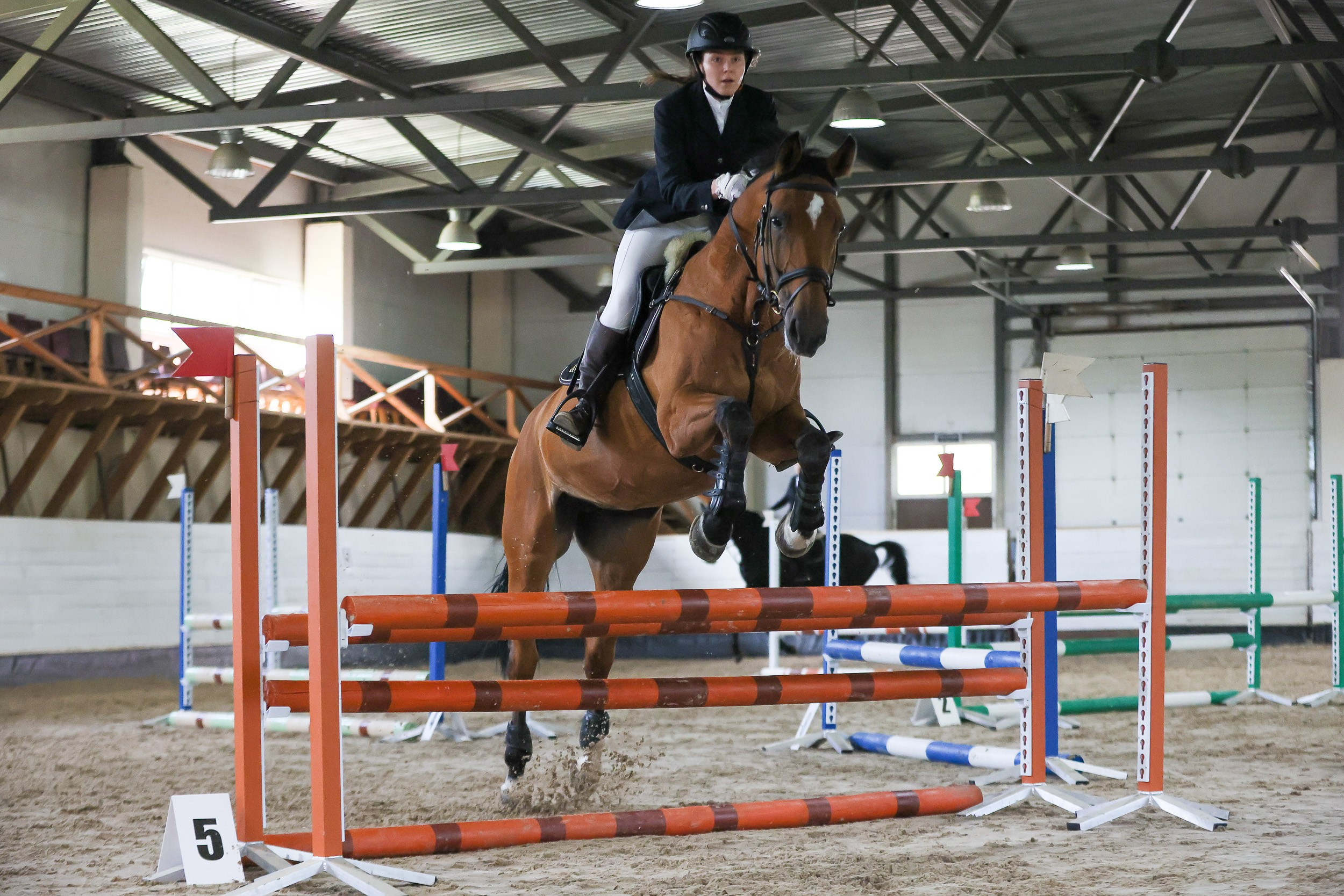 Конный спорт. Спортивный и корпоративный фотограф в Москве Олег Беспалов