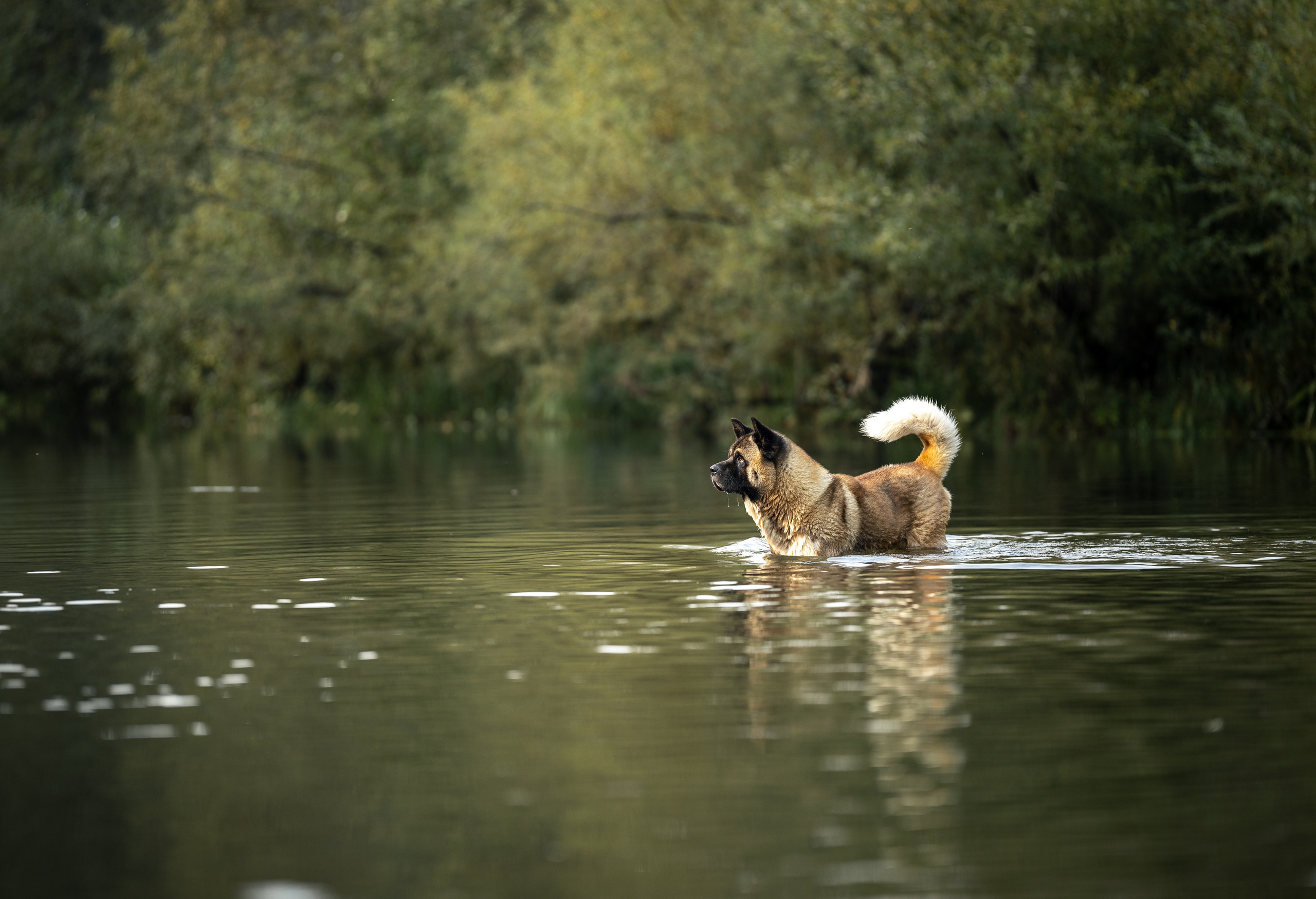 Природные пейзажи. Наталия Клевинскас портретный фотограф в Костроме