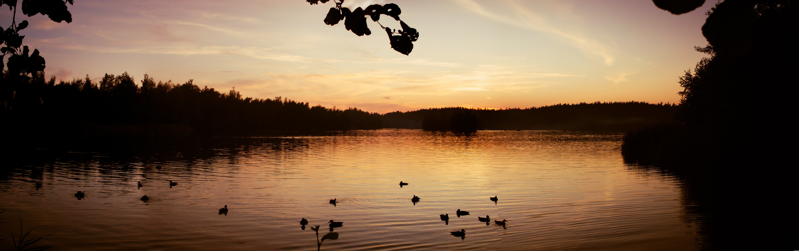 Природа. Polyframe