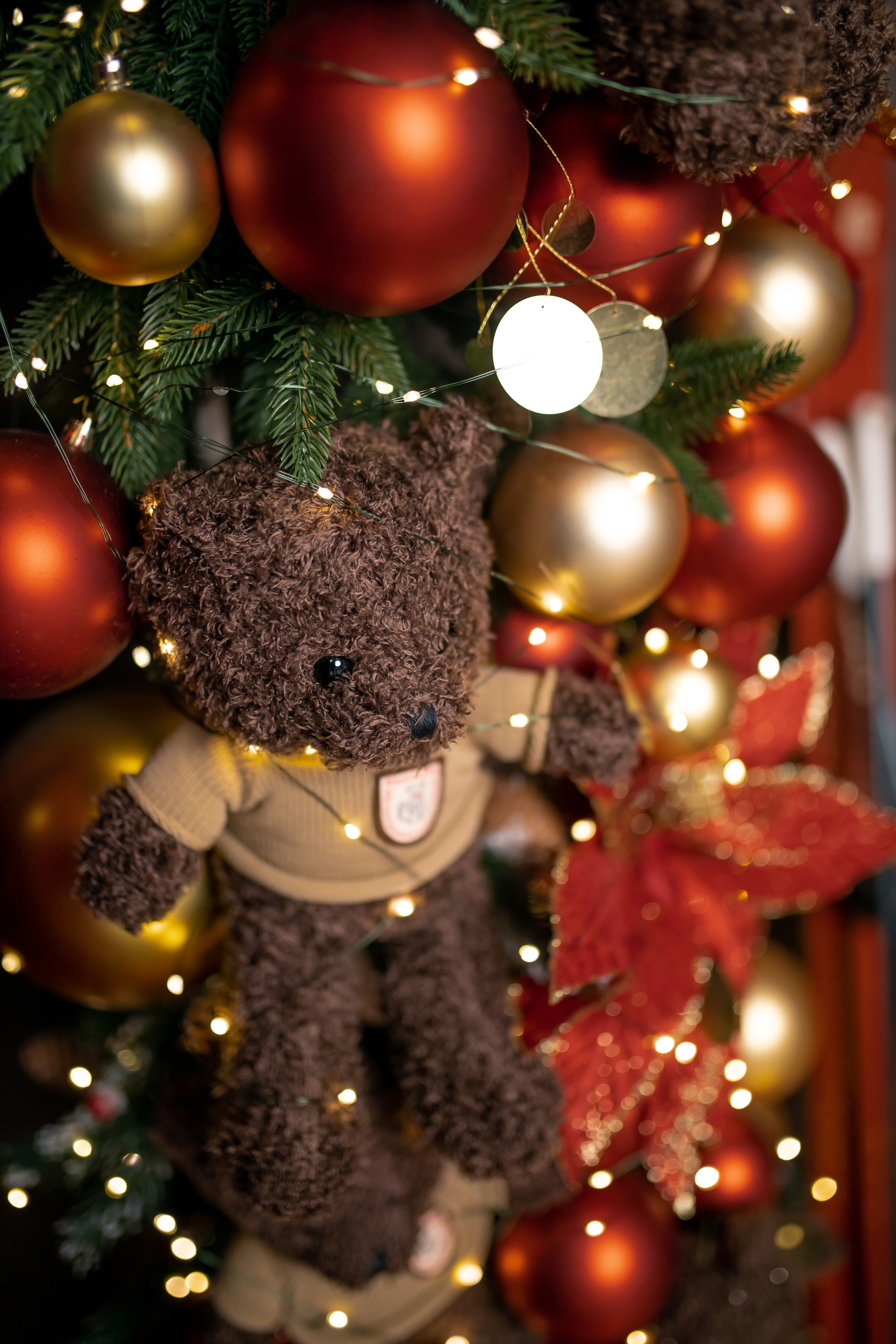 Детский зал. Семейный и детский фотограф в Туапсинском районе Кузьмичёва Светлана