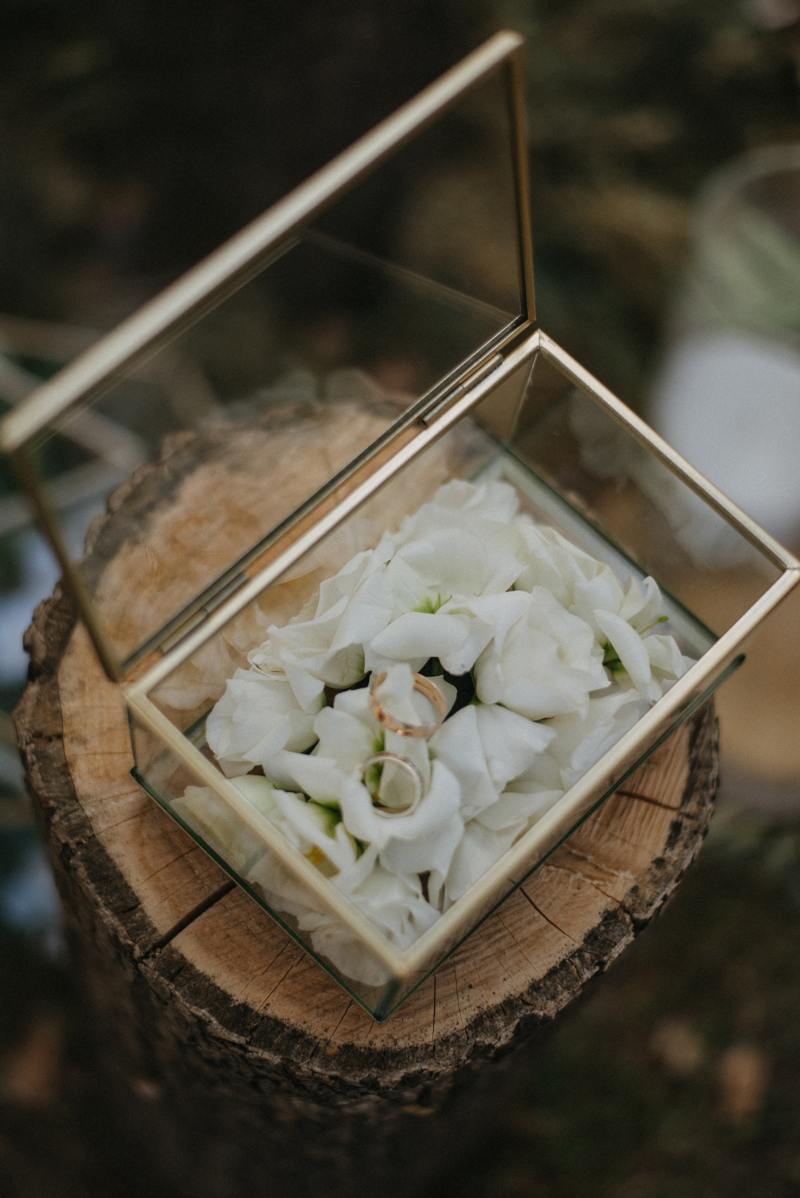 Юра и Алиса. Свадебный фотограф Уфа Дарья Насырова