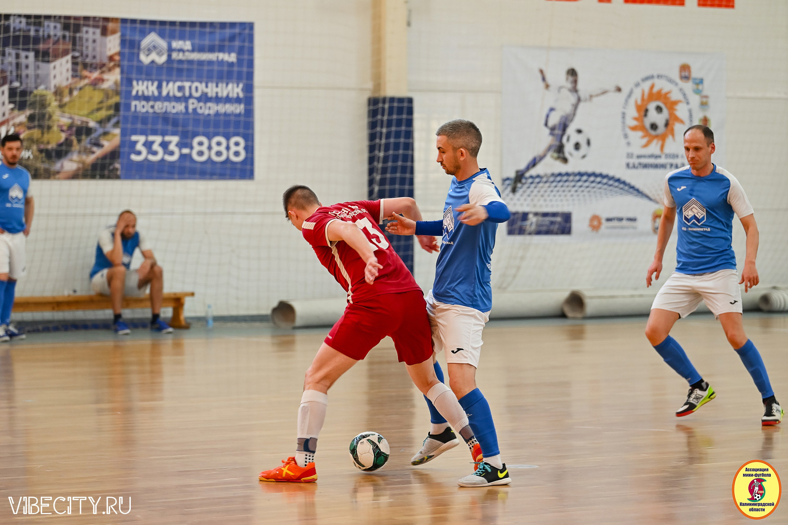 МФЛ СанТермо. VIBECITY.RU Вайб Сити Ру Фоторепортажи Фотоотчеты Калининград