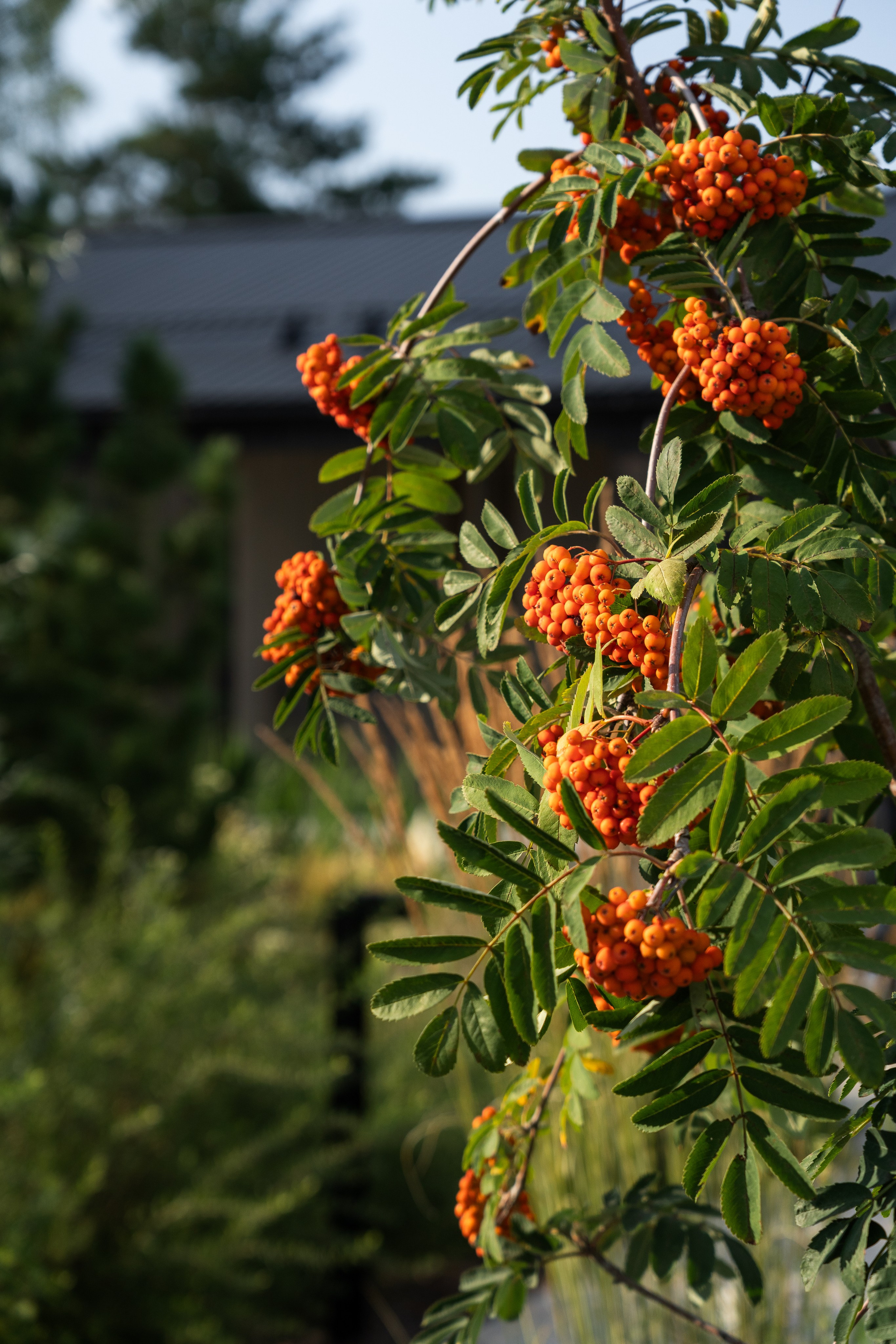 Private house, Tver region, Konakovo. Артамонов Александр | Архитектурный и ландшафтный фотограф