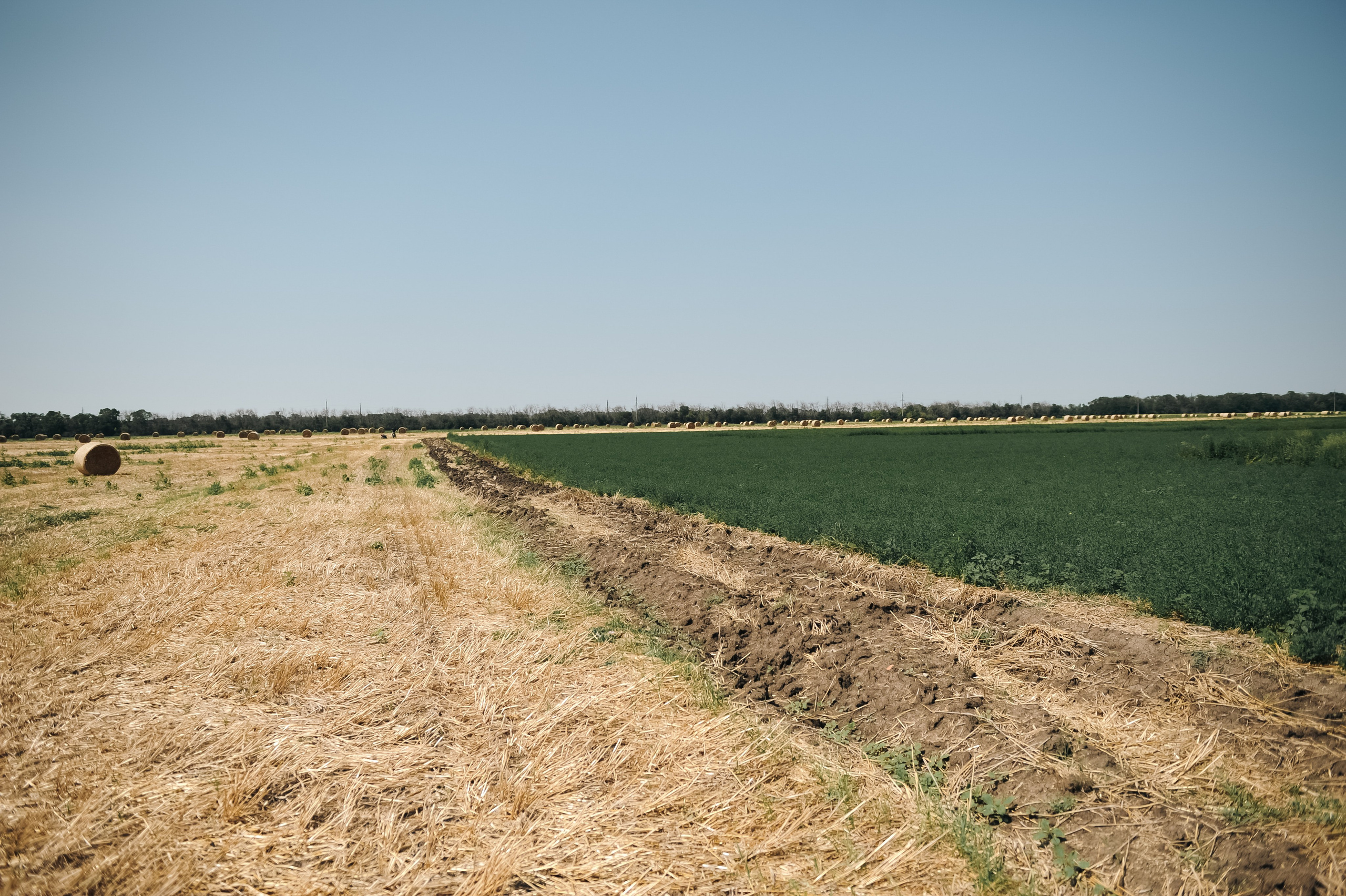 В полях…. Фотограф, визажист. Москва