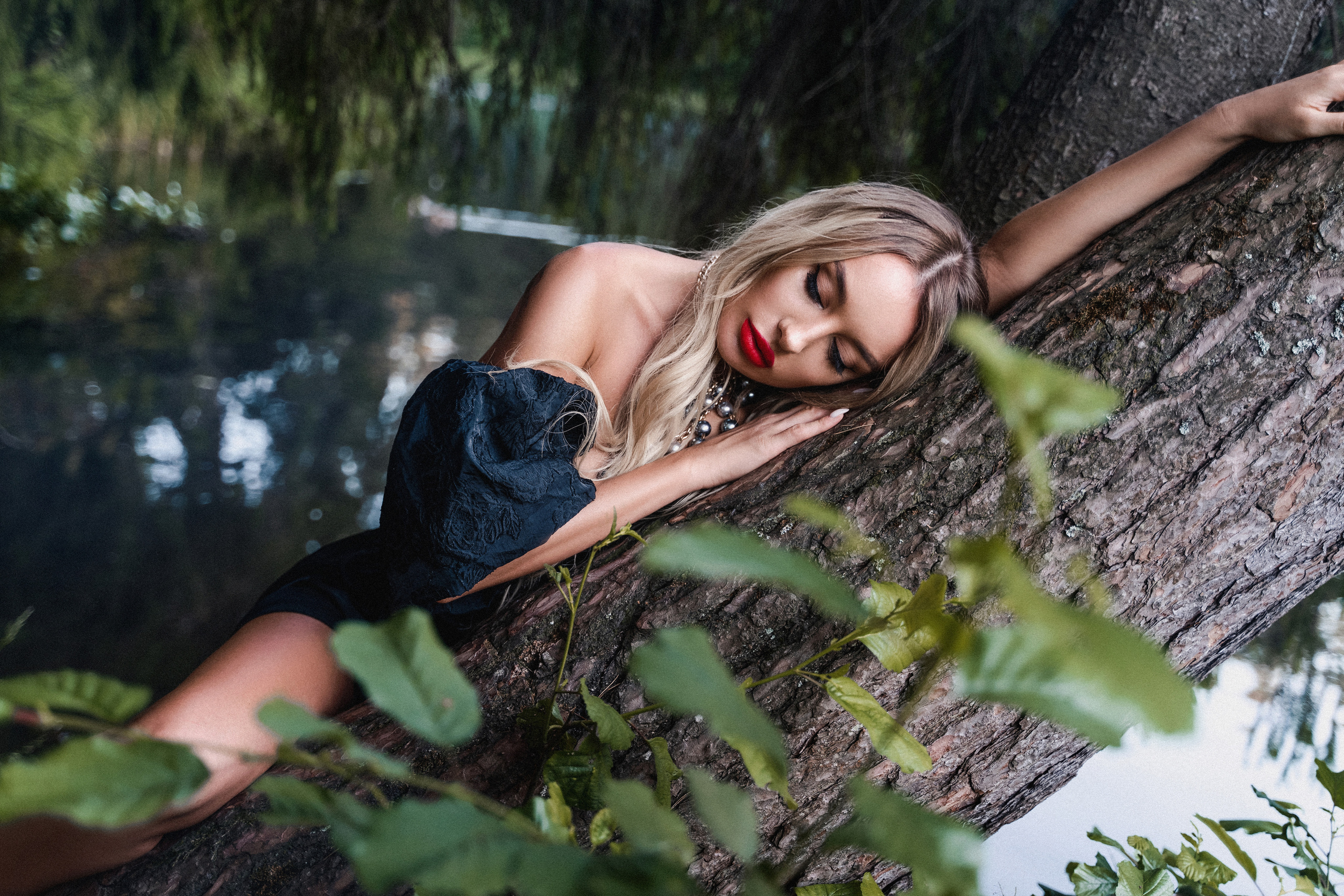 Magic forest. Photographer Italy (Rome)