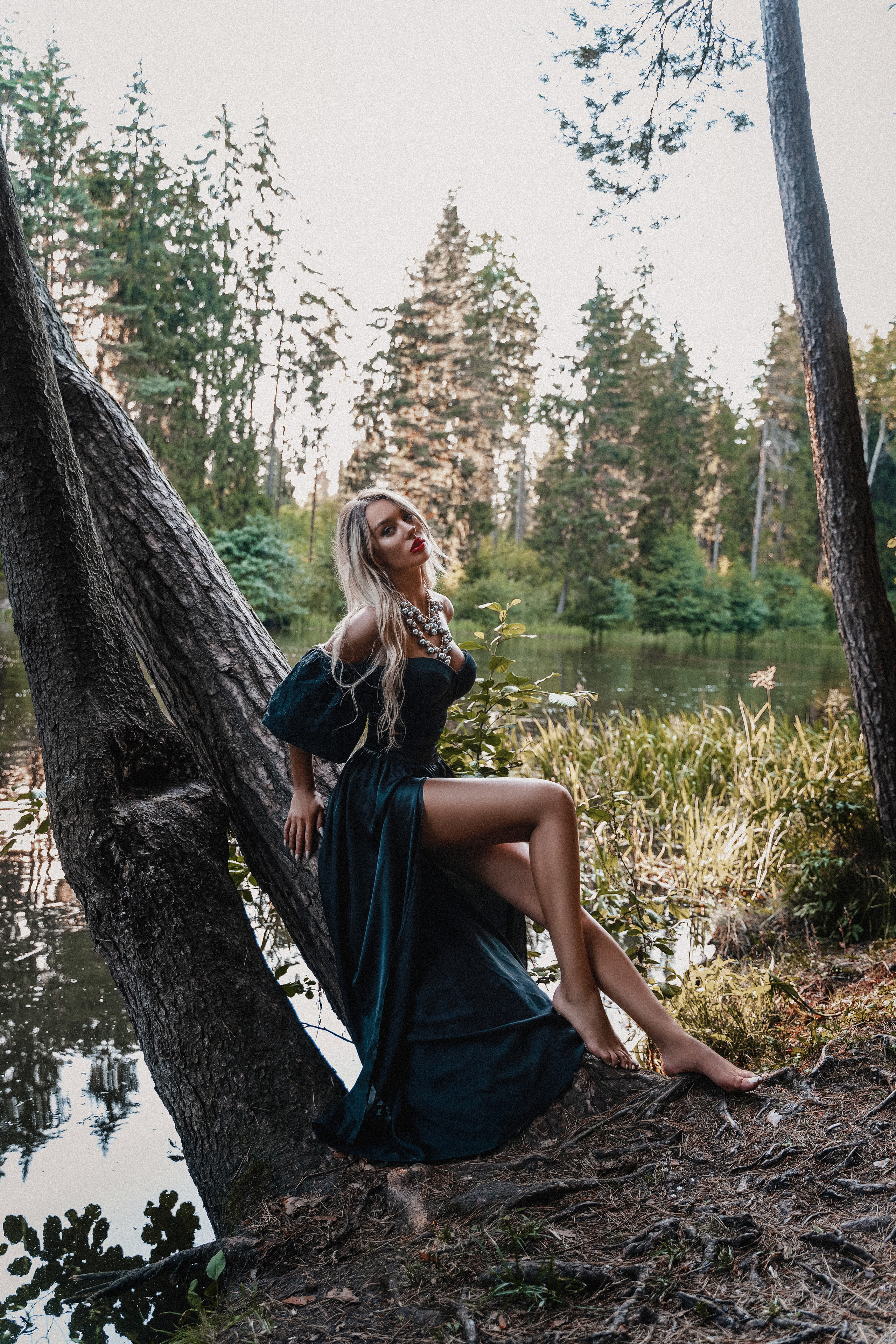 Magic forest. Photographer Italy (Rome)