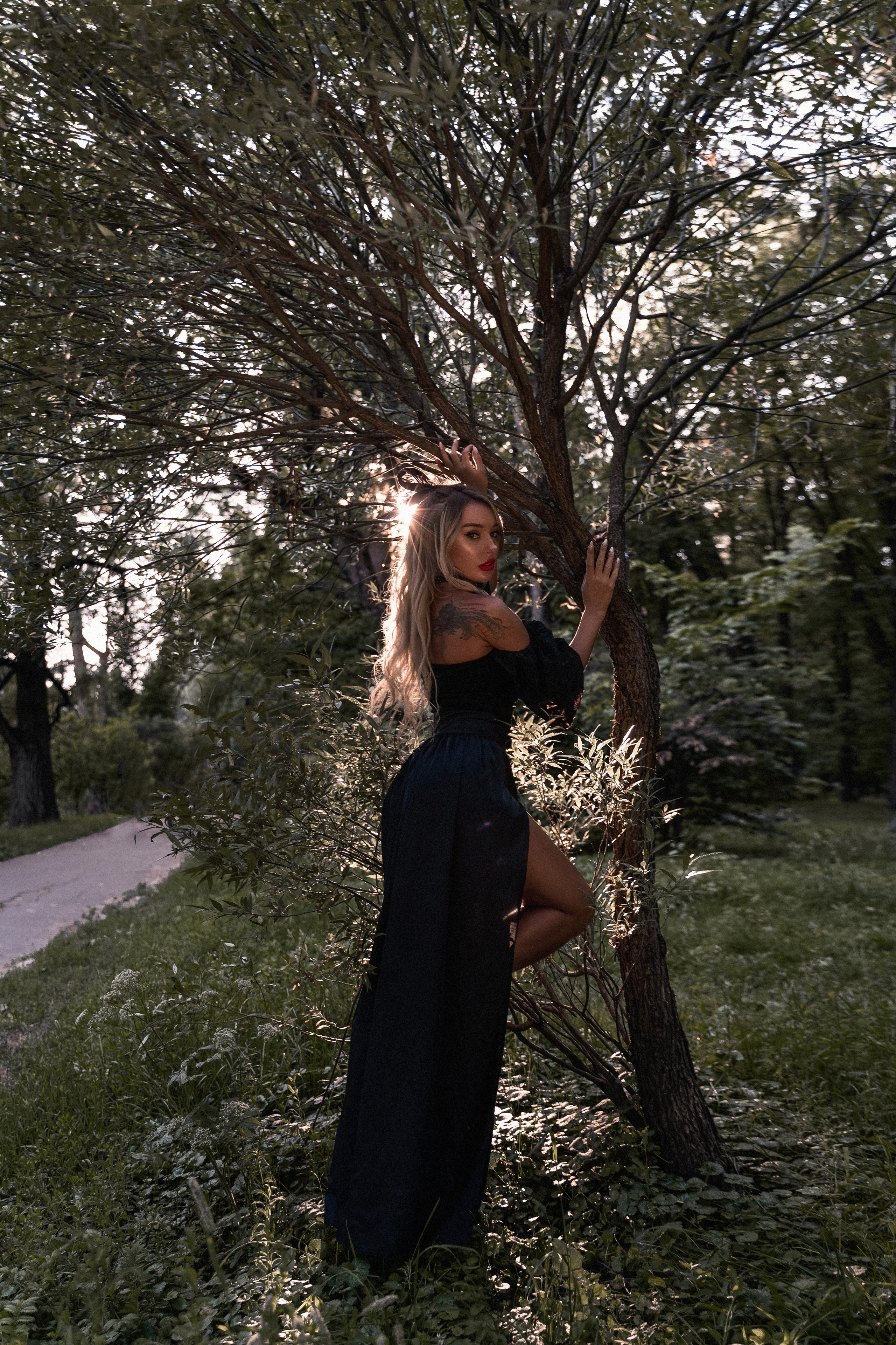 Magic forest. Photographer Italy (Rome)