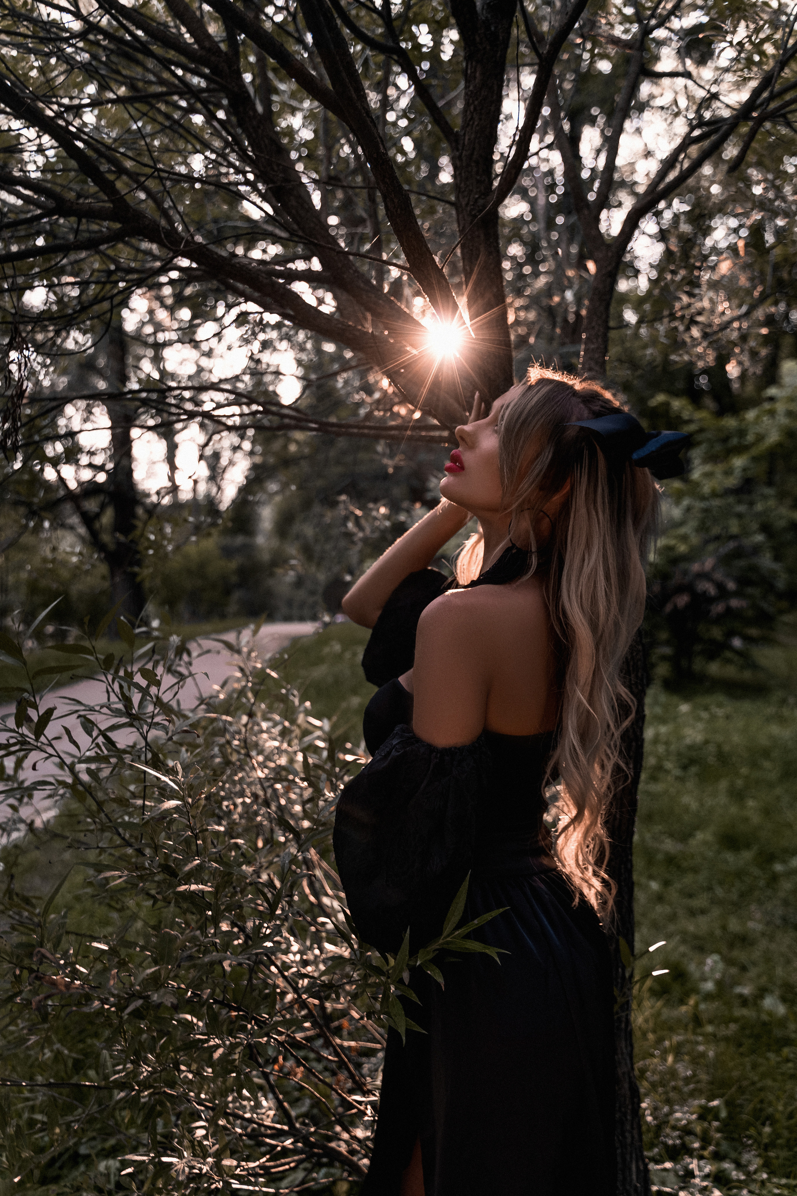 Magic forest. Photographer Italy (Rome)