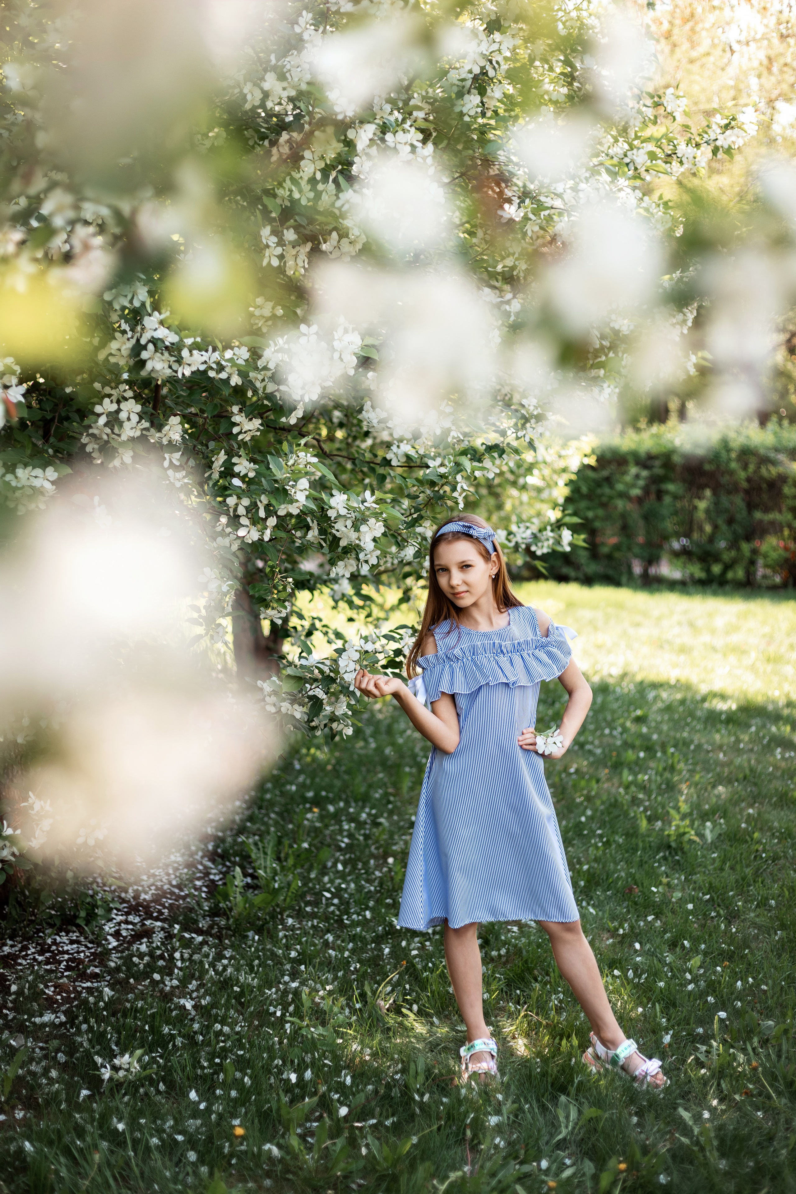 Цветение яблони 2023. Фотограф Пермь. Свадьбы. Семья и дети, школа, д. сад. Фотокниги