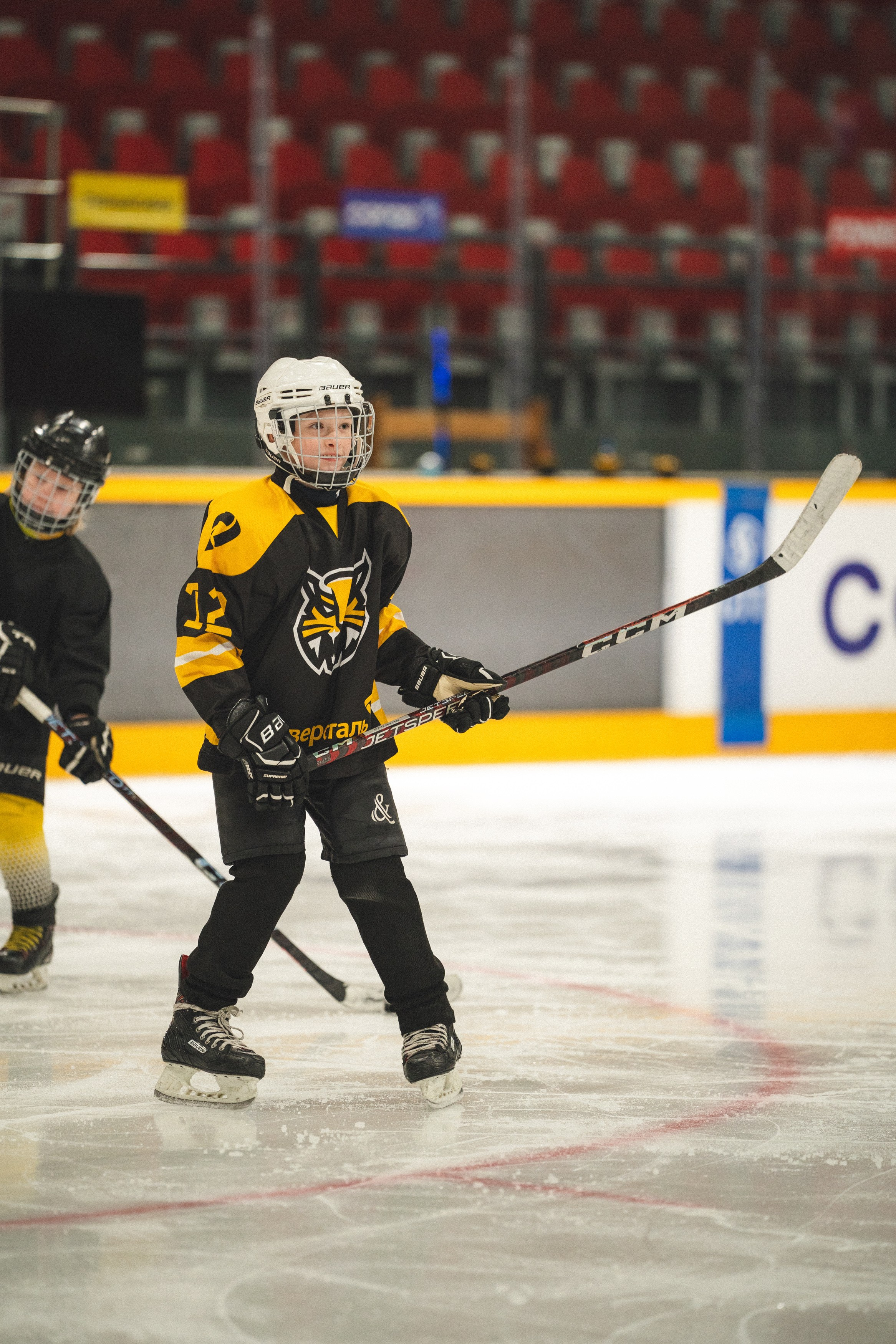 ХК Северсталь (младшая группа). Череповец. Zekons. Фото, видео, нейросети