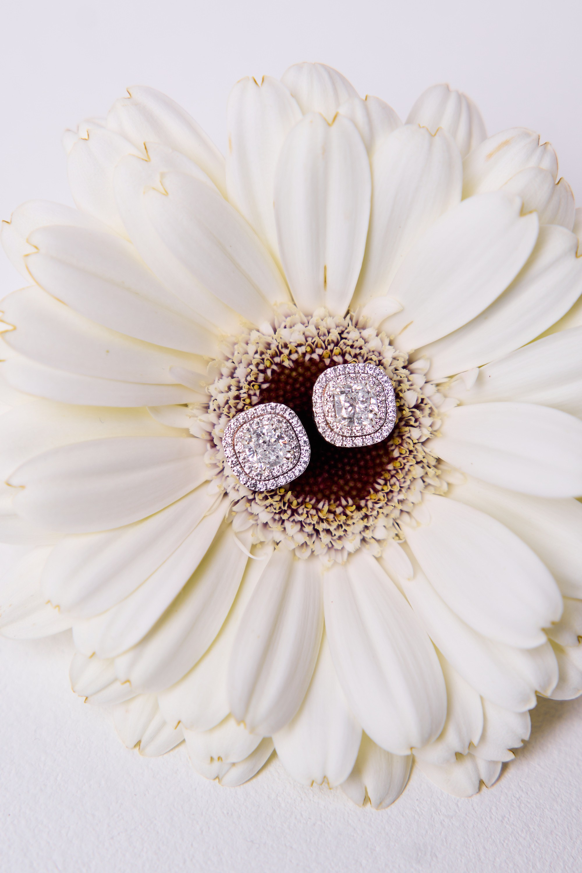 Бренды. Антон Чигляков -   профессиональный фотограф