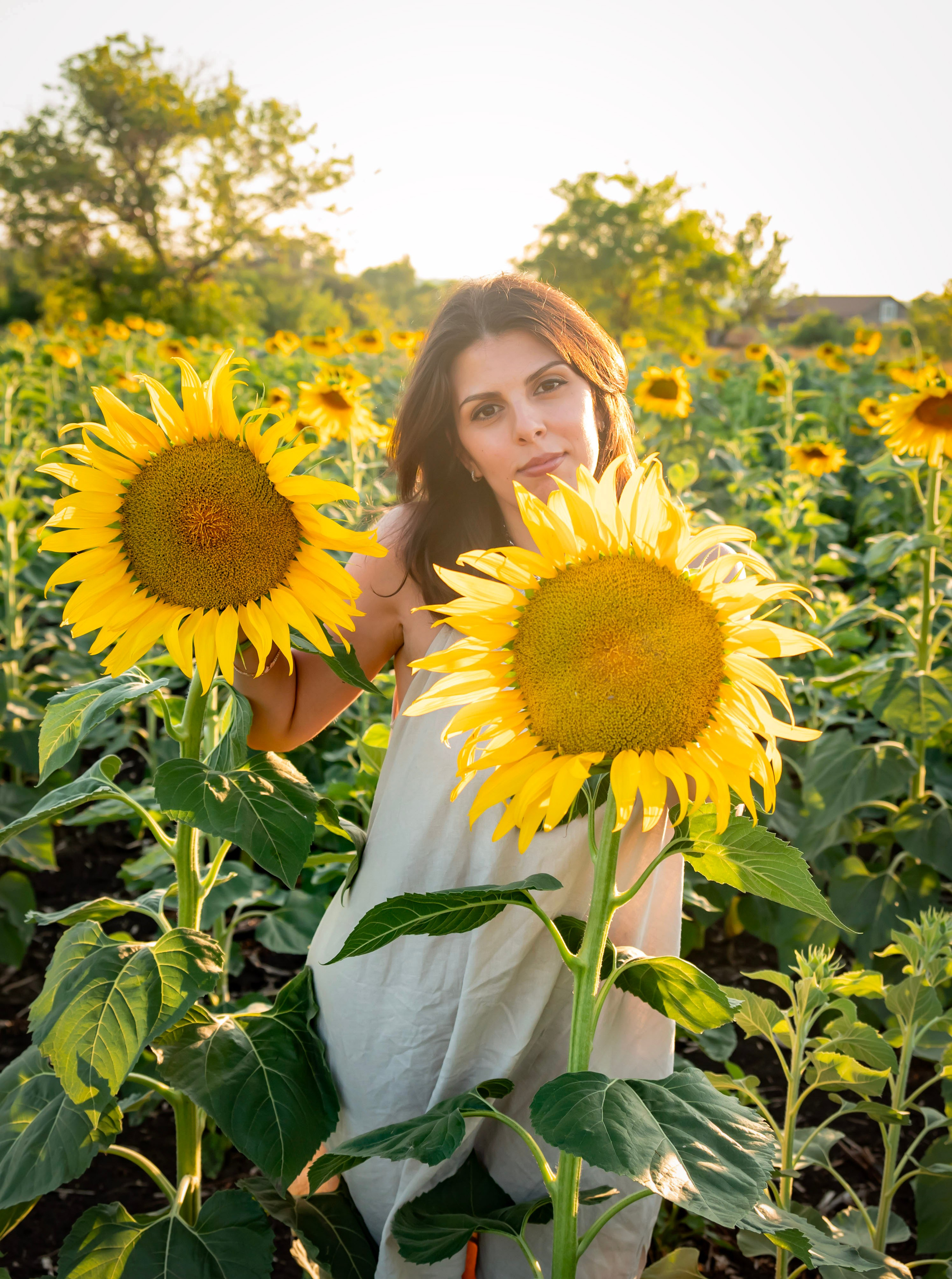 Летняя прогулка. Главная