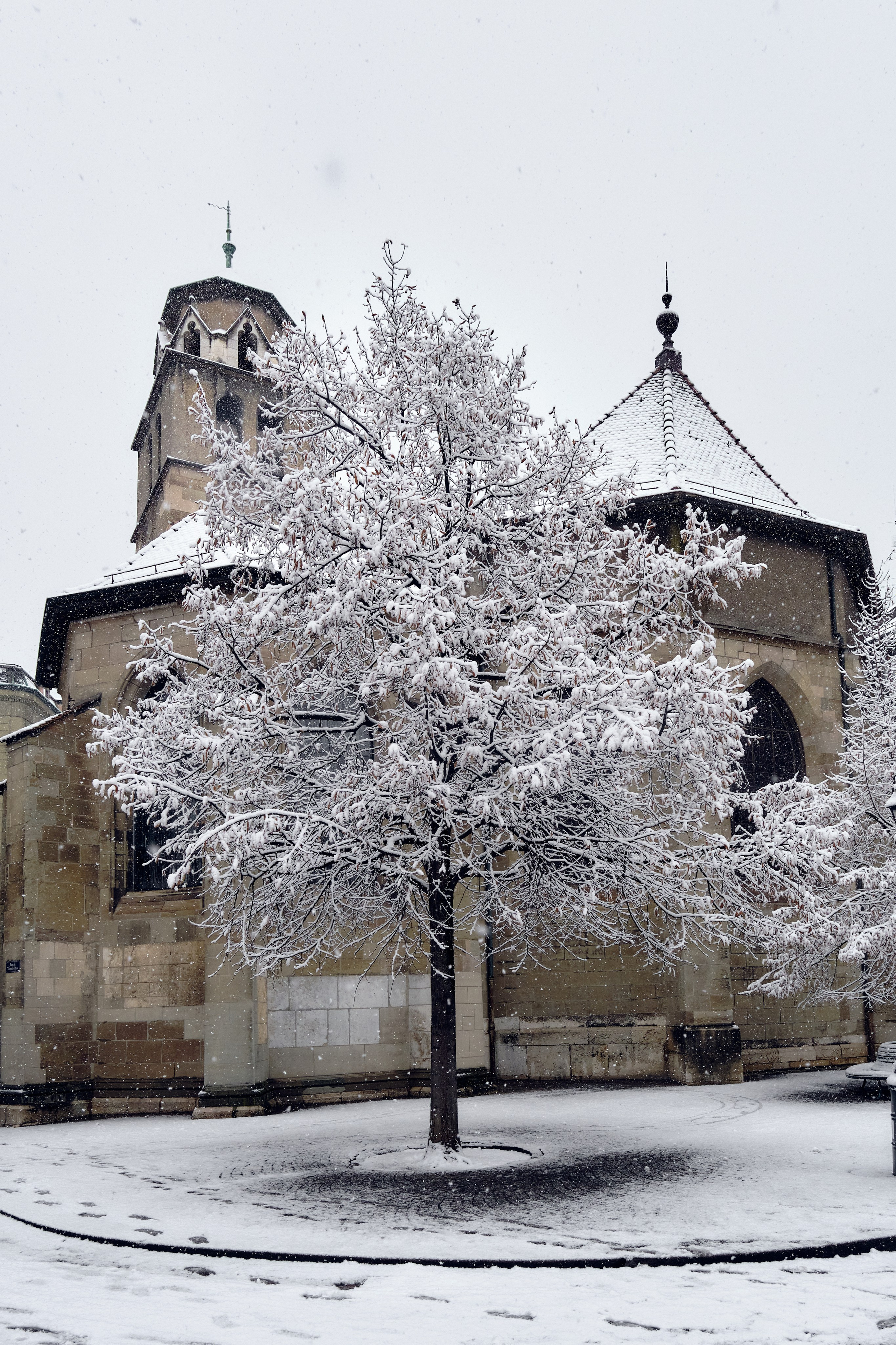 Geneva / winter 2024. Aleksandr Kobtsev