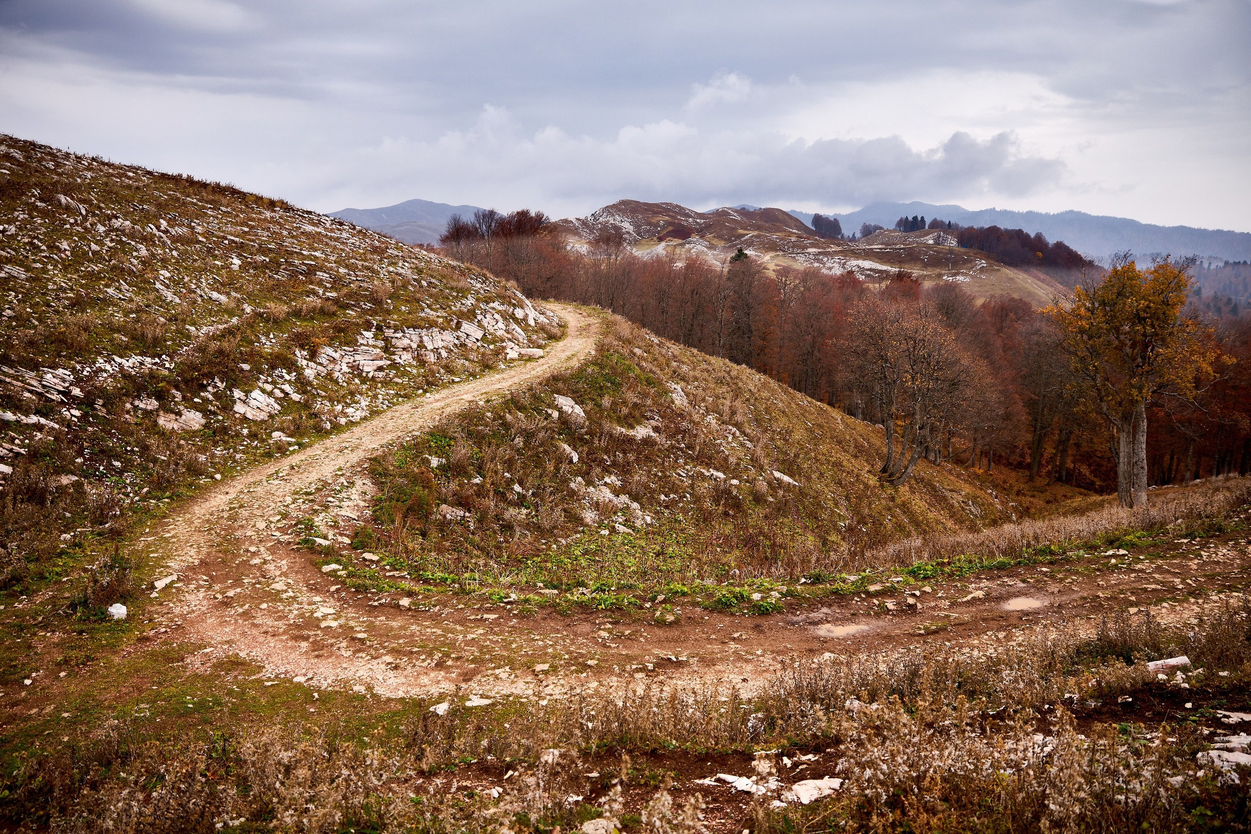 Путешествия