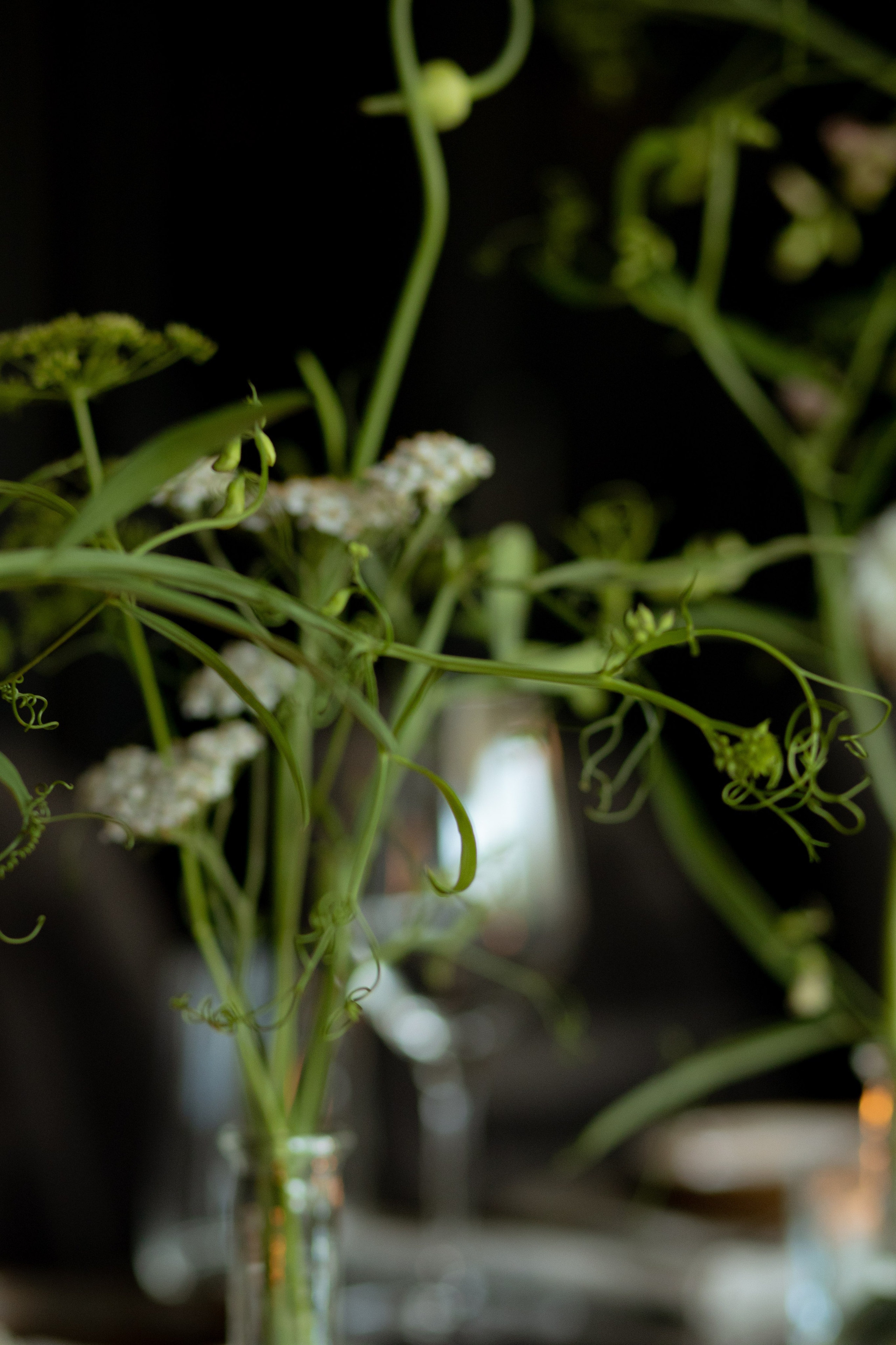 Алина & Николай. Оформление свадеб, декор свадеб Вера Маркова, Москва