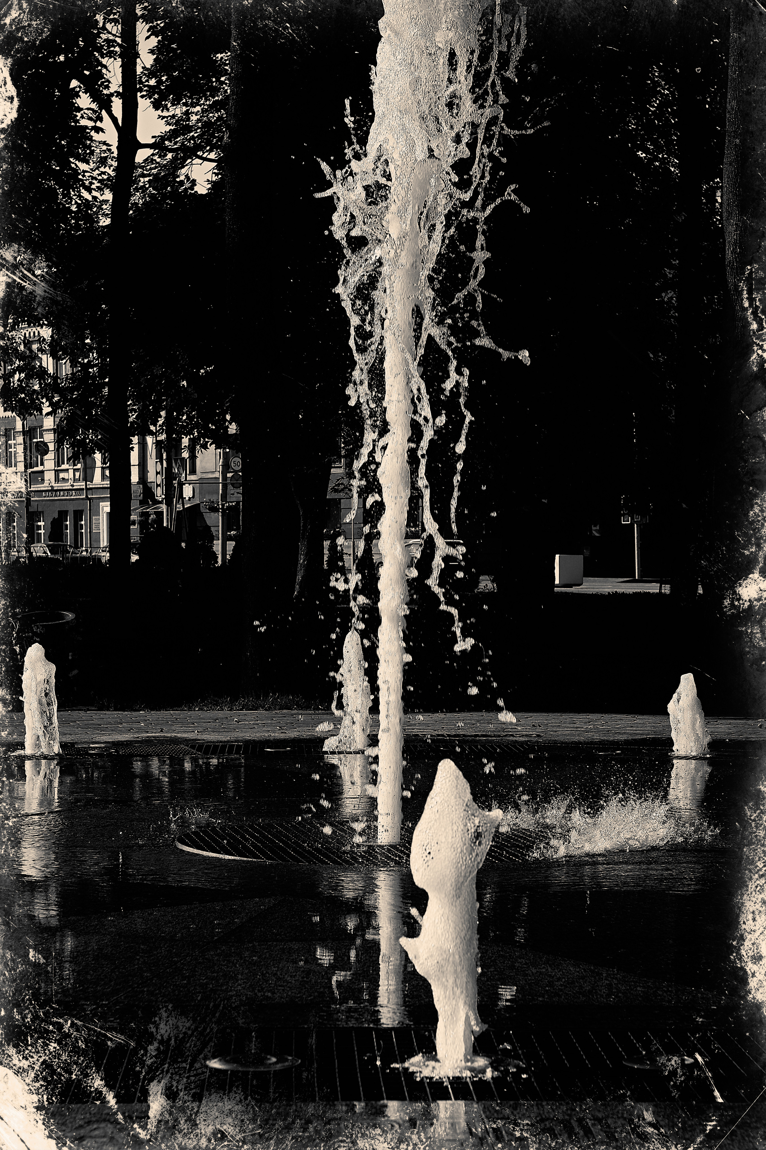 ЧБ  пейзажи (BnW landscape). Фотограф (photographer) Lischinski Vitaliy