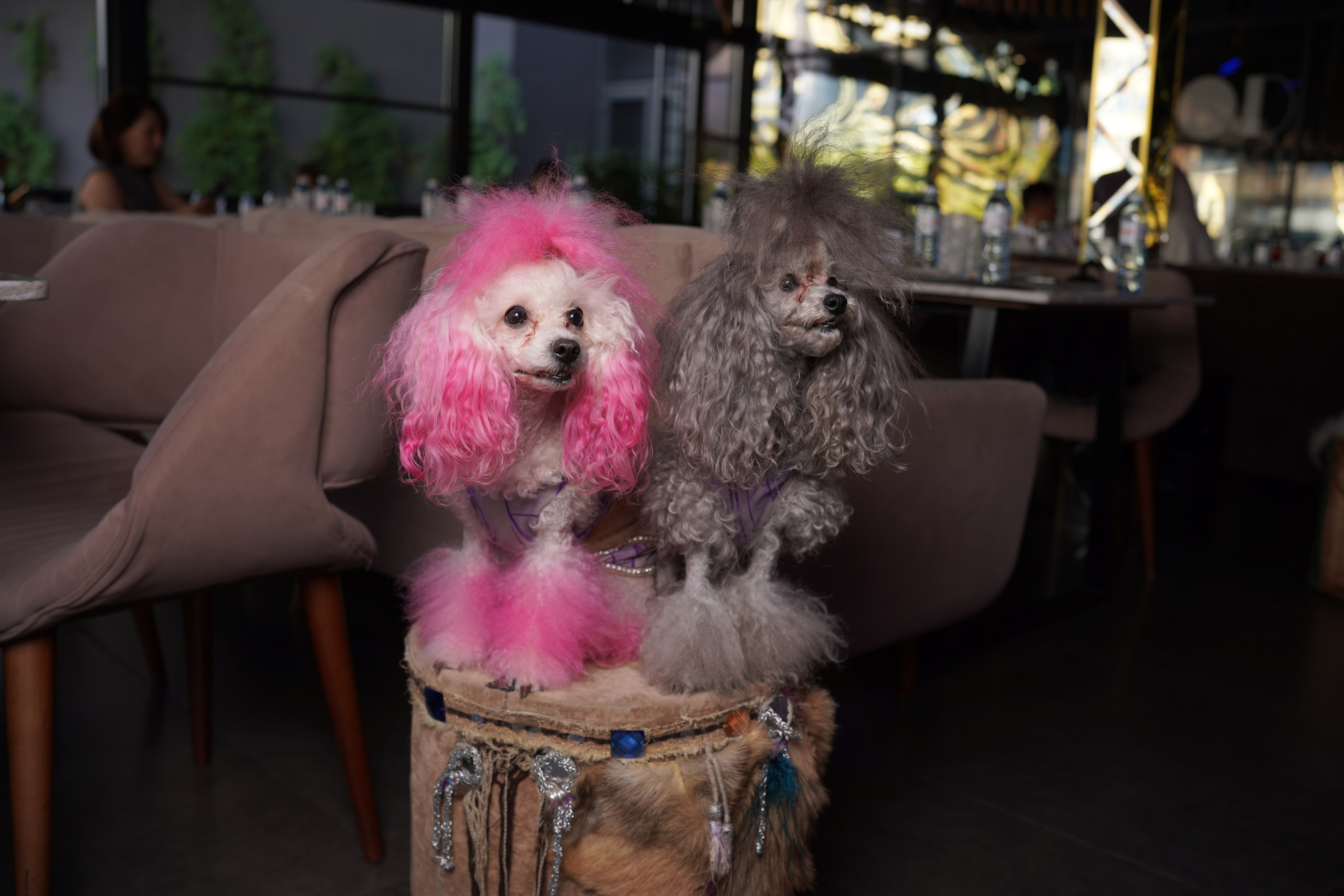 Summer Brunch — Ресторан MOOD