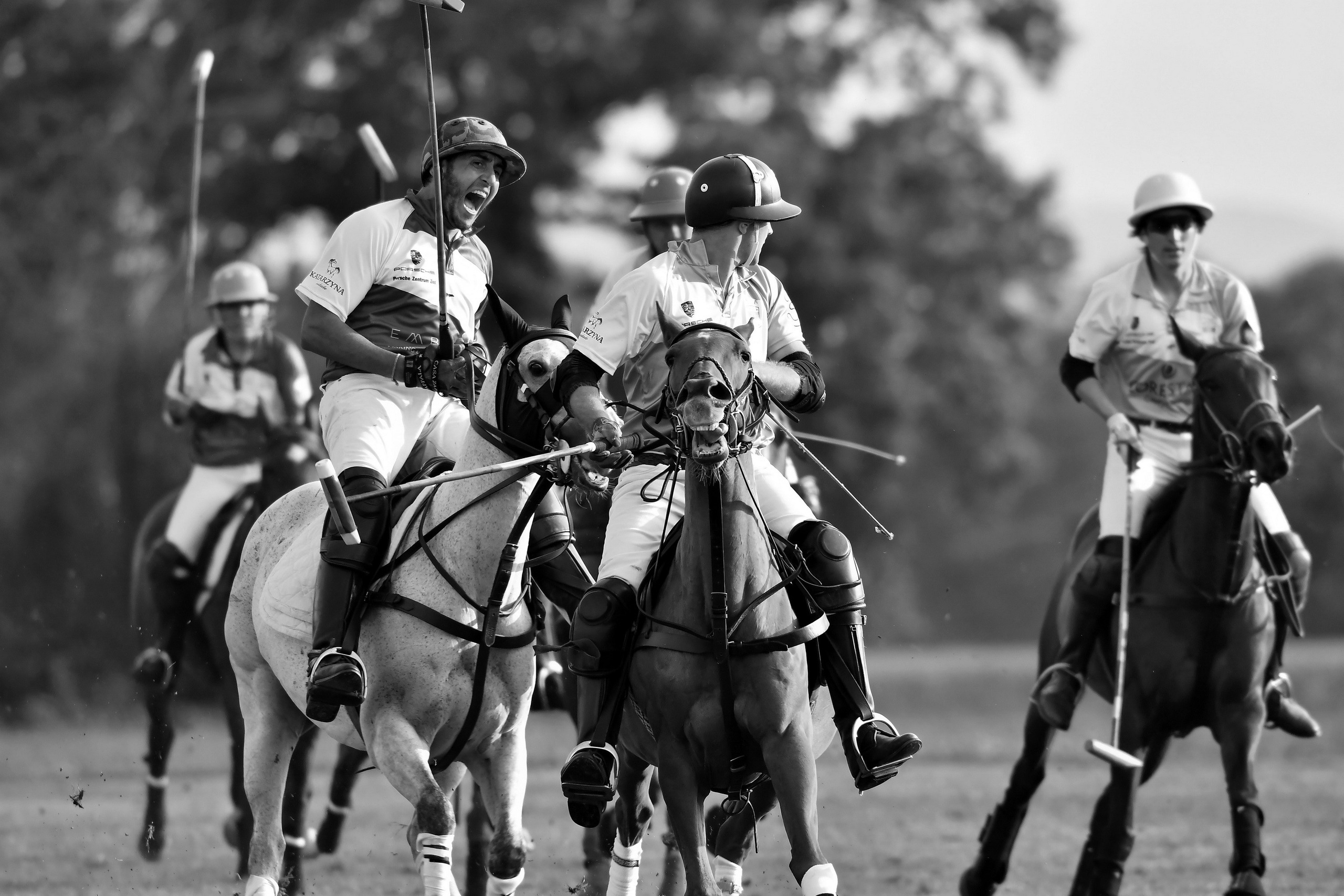 Polo art photos. Art photos of horses — ARTUR BABOEV | Photographer