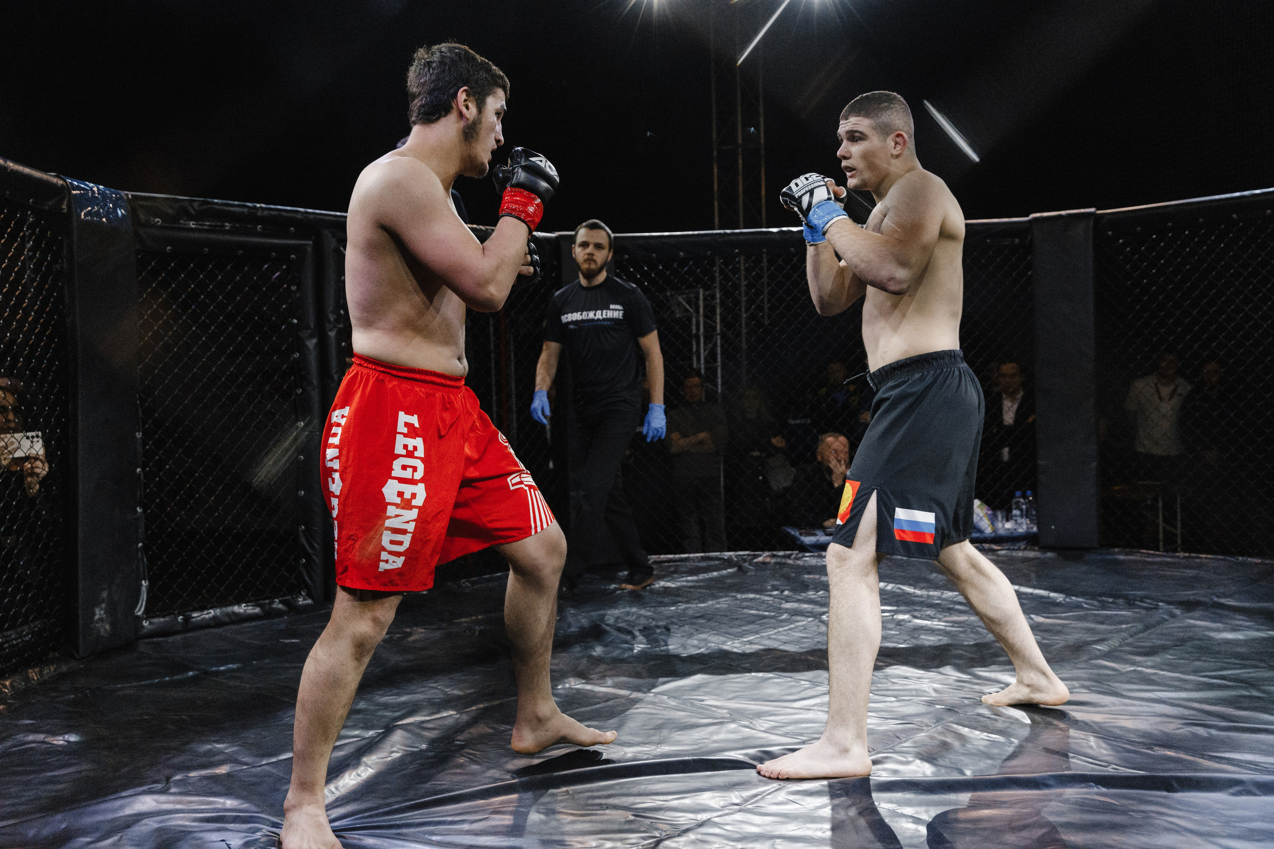 Турнир по ММА «Освобождение» 2023 г. Истра. Свадебный фотограф Фадеева Алёна