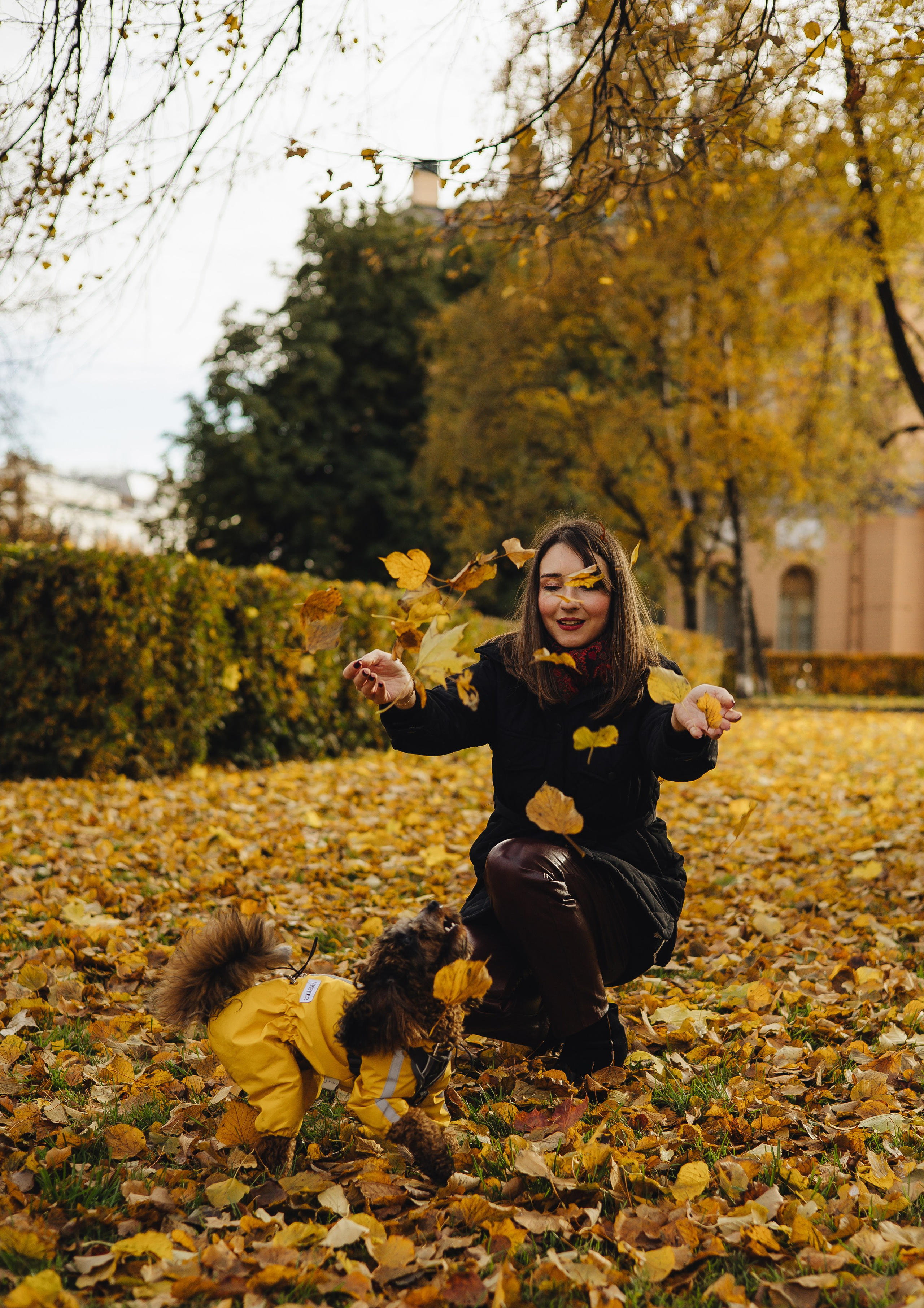 Летающих собачек видели? Я с одной знакома))