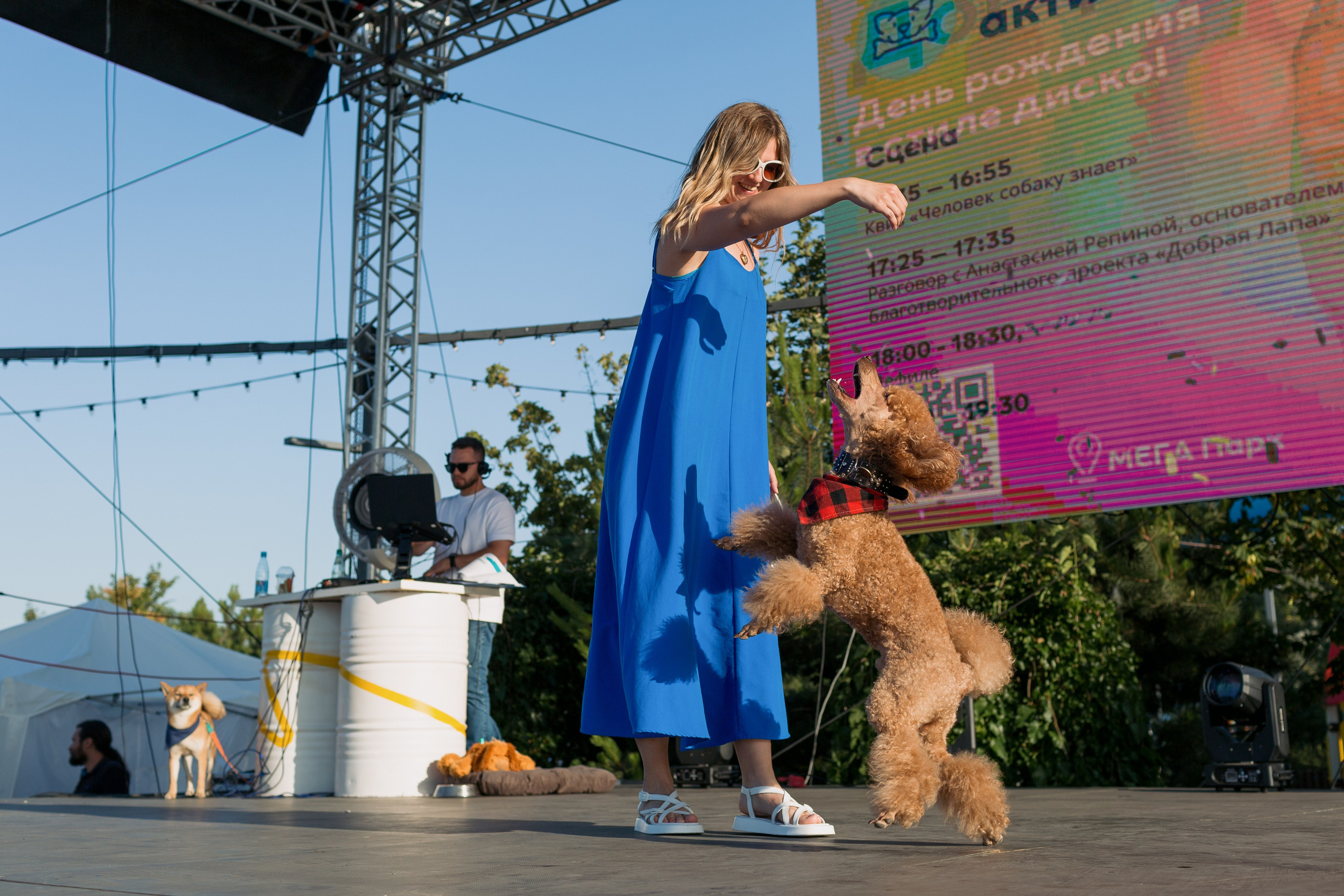 Dog Fest 2024. Главная