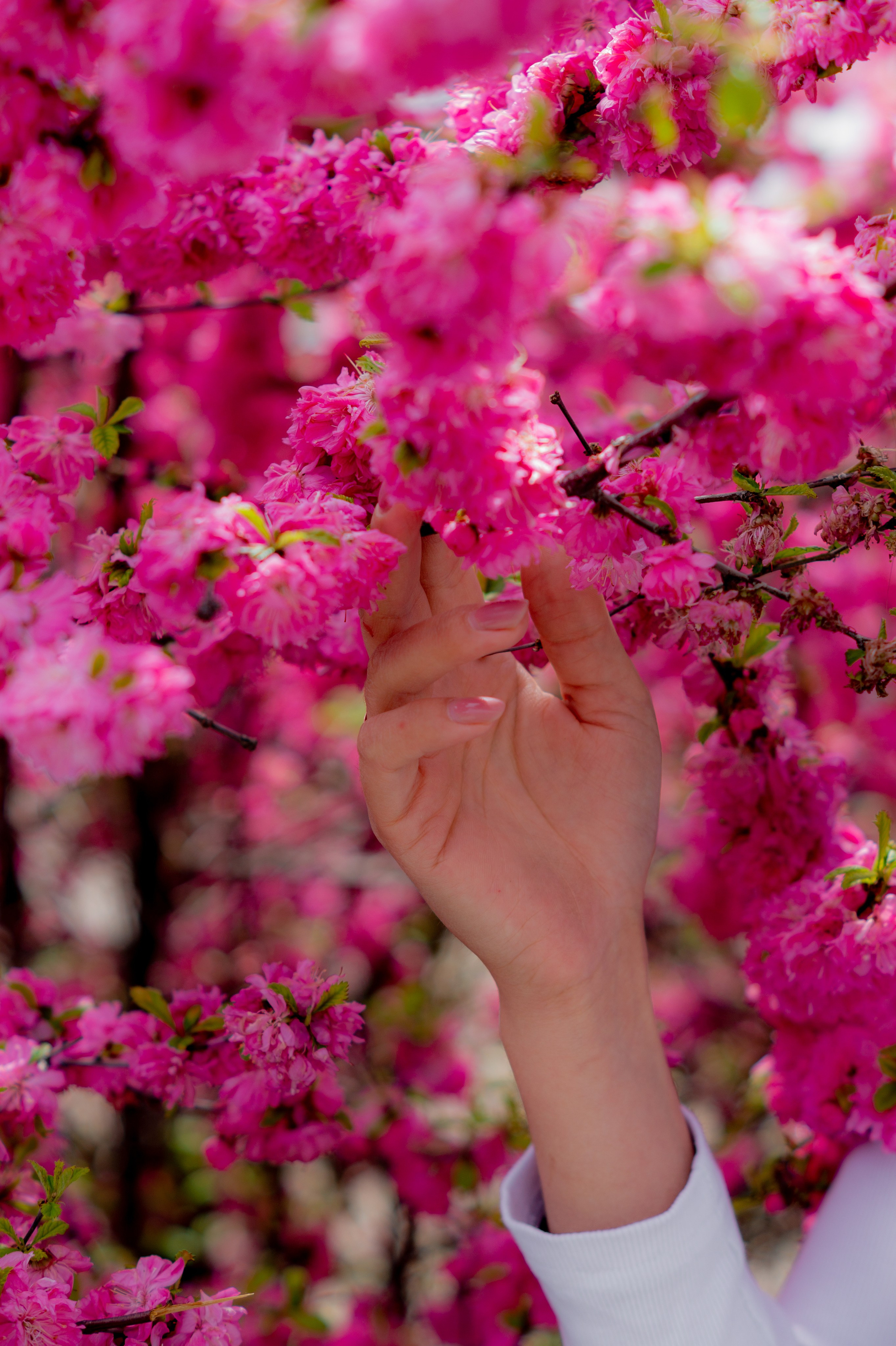 Аня Весенняя прогулка. Фотограф Ariadna Хабаровск/Уфа