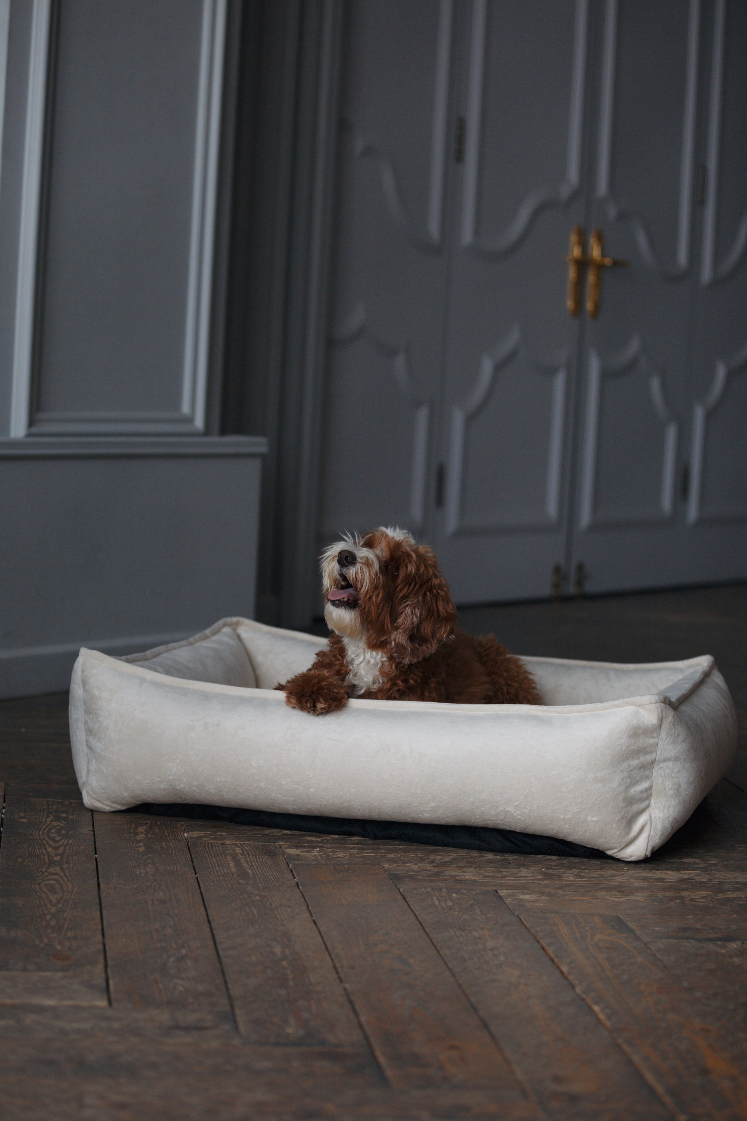 Bmbh лежанки и адресники. Фотограф анималист Кристина Карпова, Москва