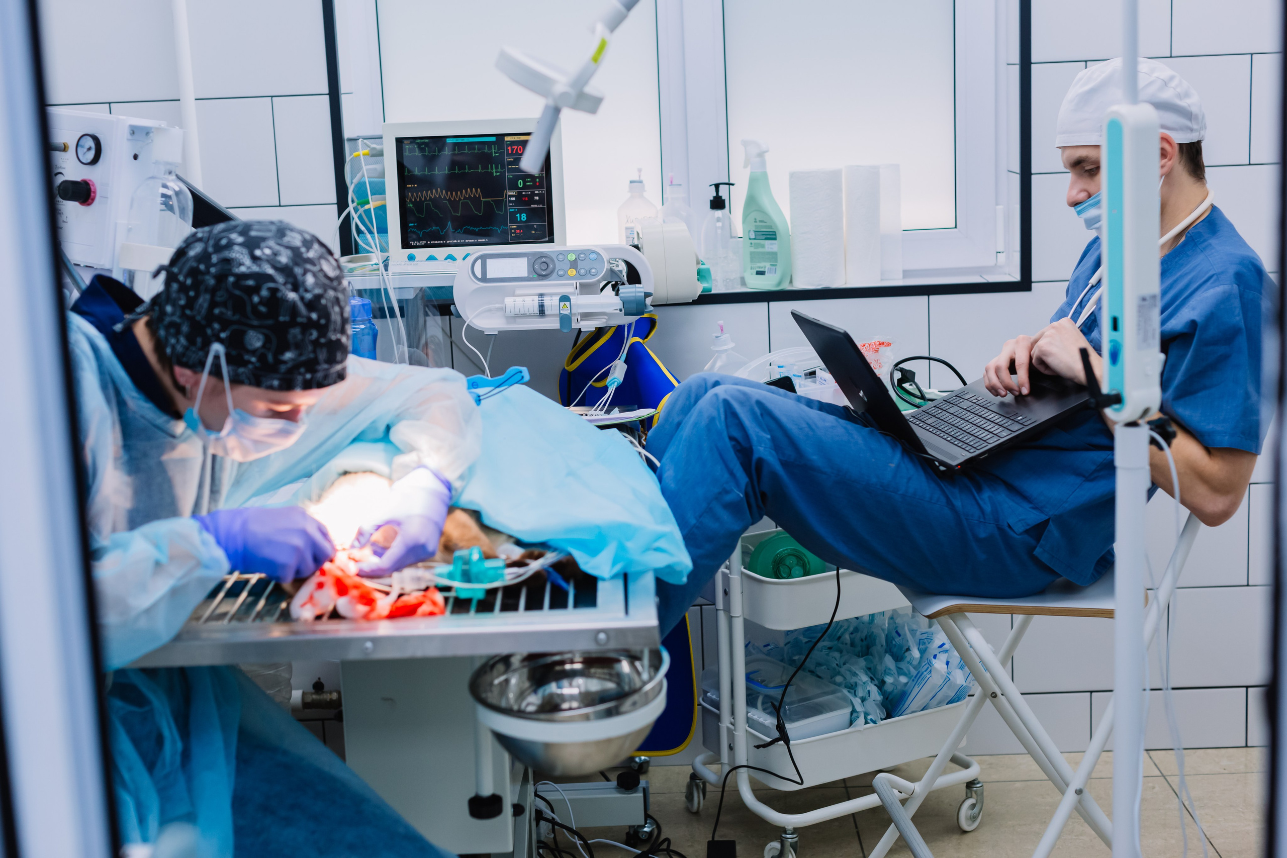 Контент съёмка. Семейный и детский фотограф в Новосибирске Алёна Малахова