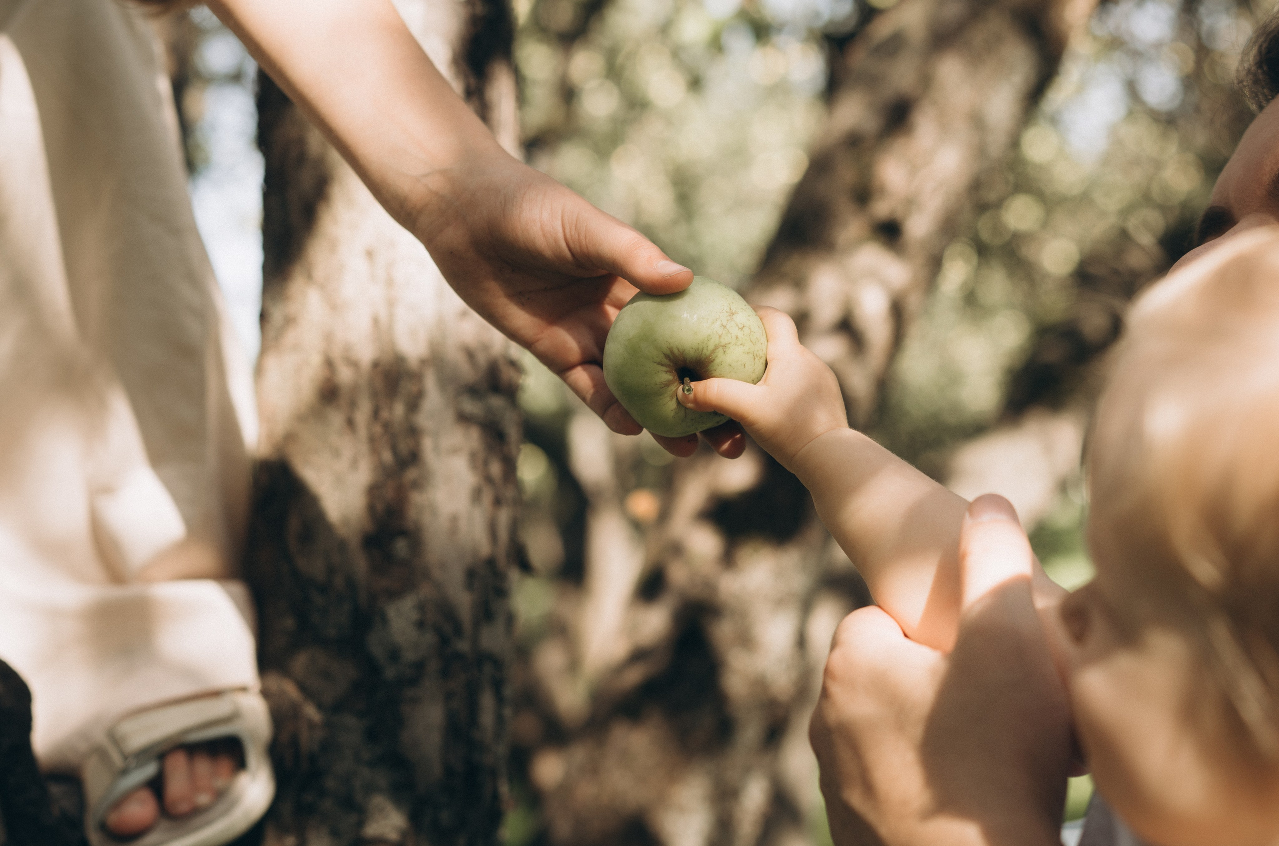 Годик в Коломенском. Семейный, ньюборн фотограф, фотограф на роды в Москве, Виктория Тюльдюкова