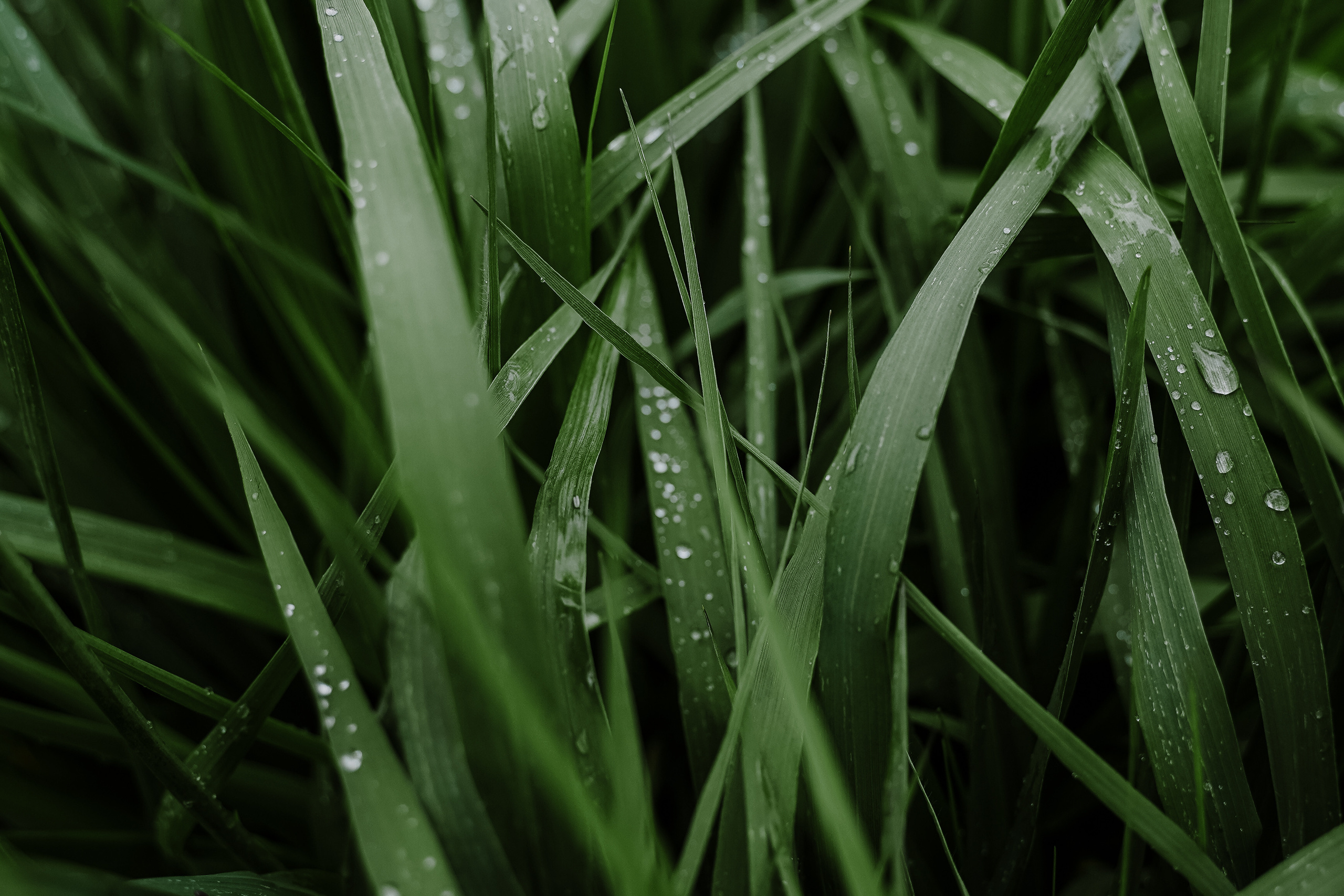 ЮЛЯ. Фотограф Алина Кудри