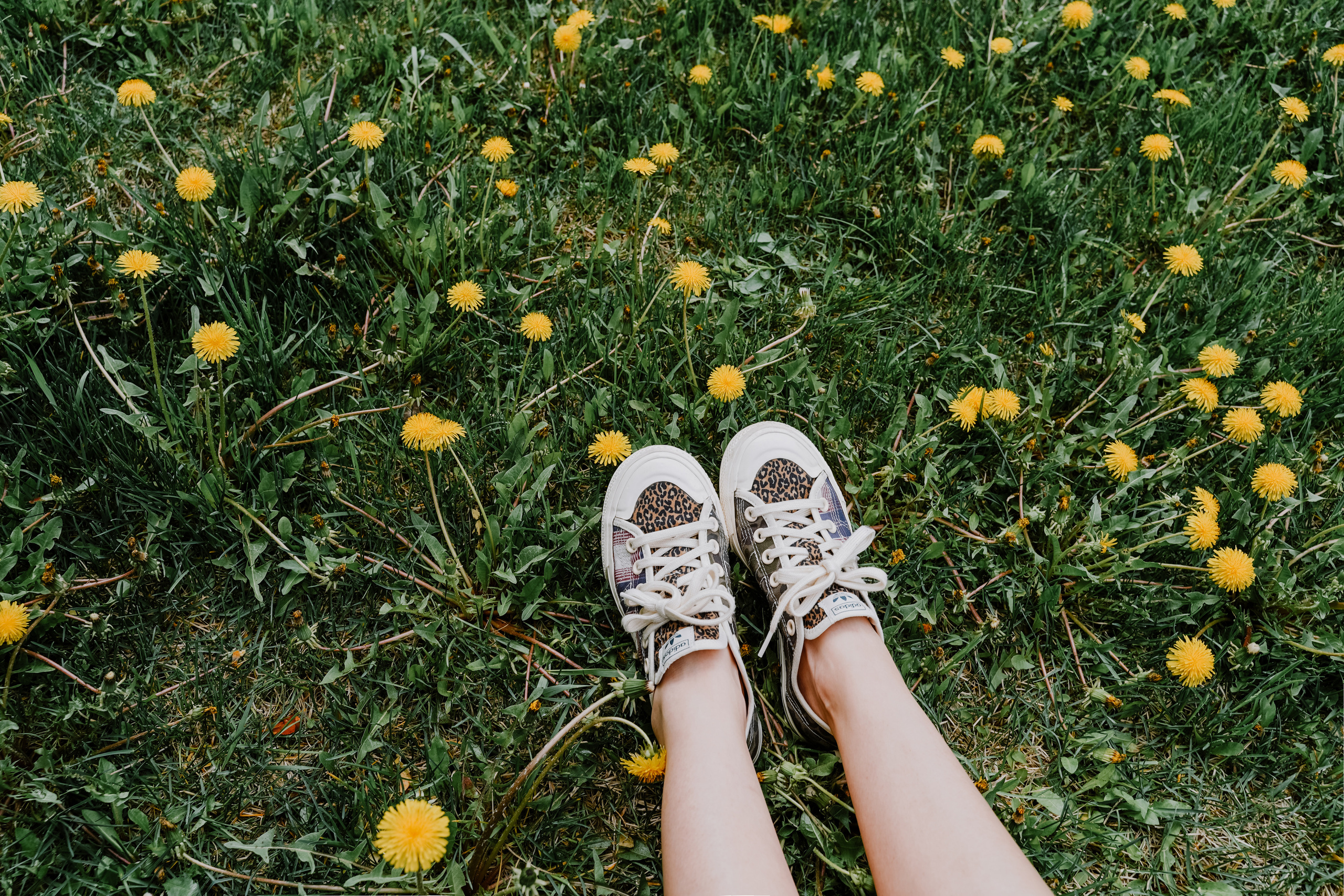 АНЯ. Фотограф Алина Кудри