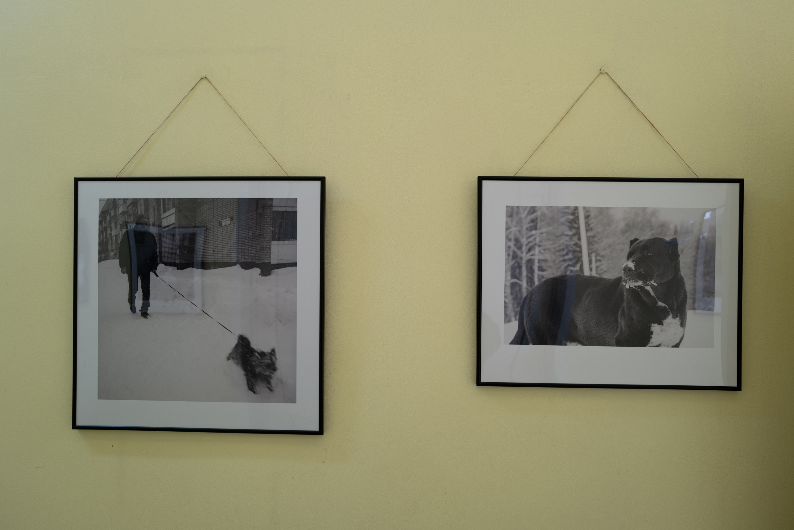 Выставка 01.04.2025. Фотограф Александр Тихонов