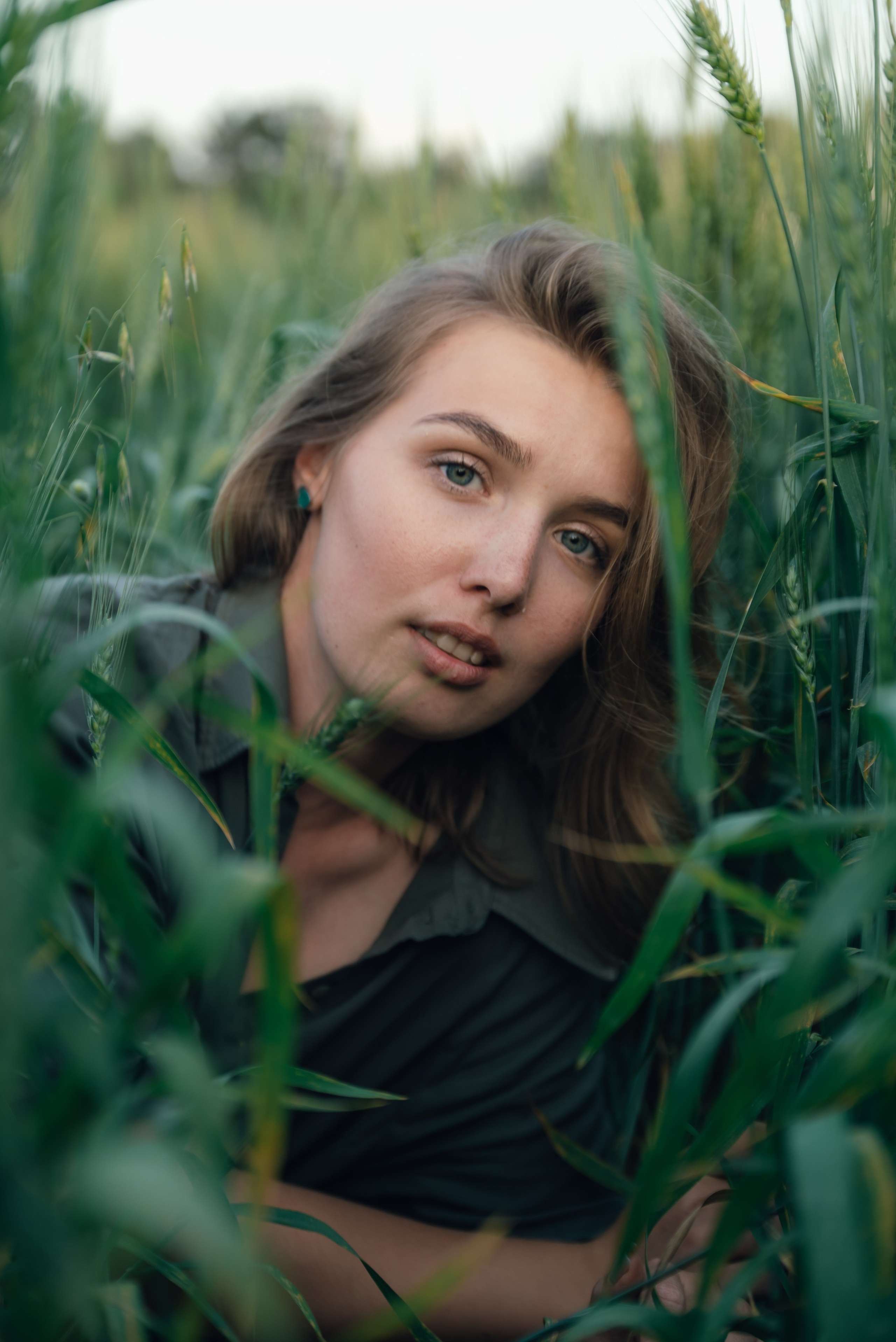An Evening in the Field. Anna Lobanova | Photographer