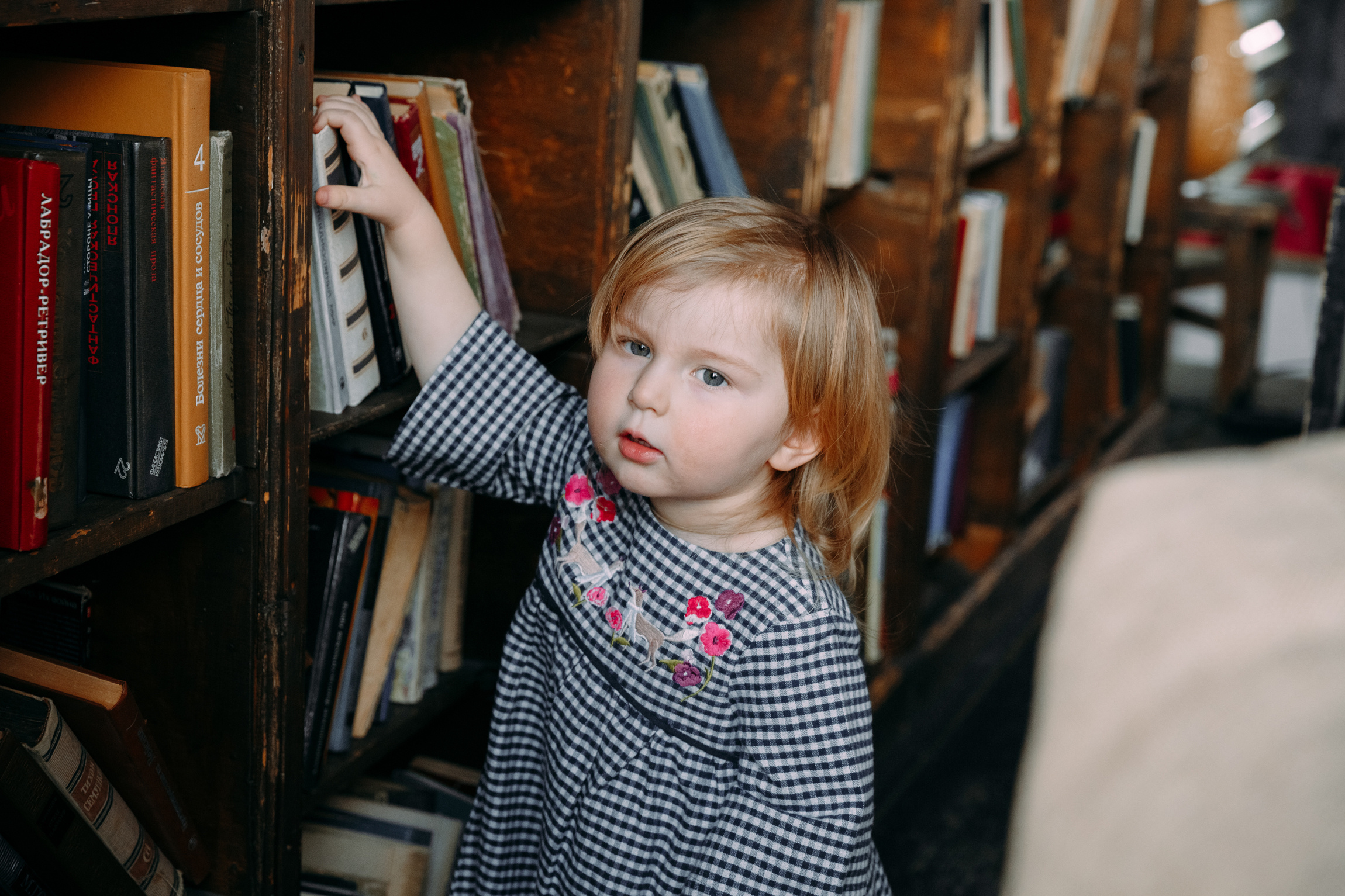 Даша, Коля и Наташа