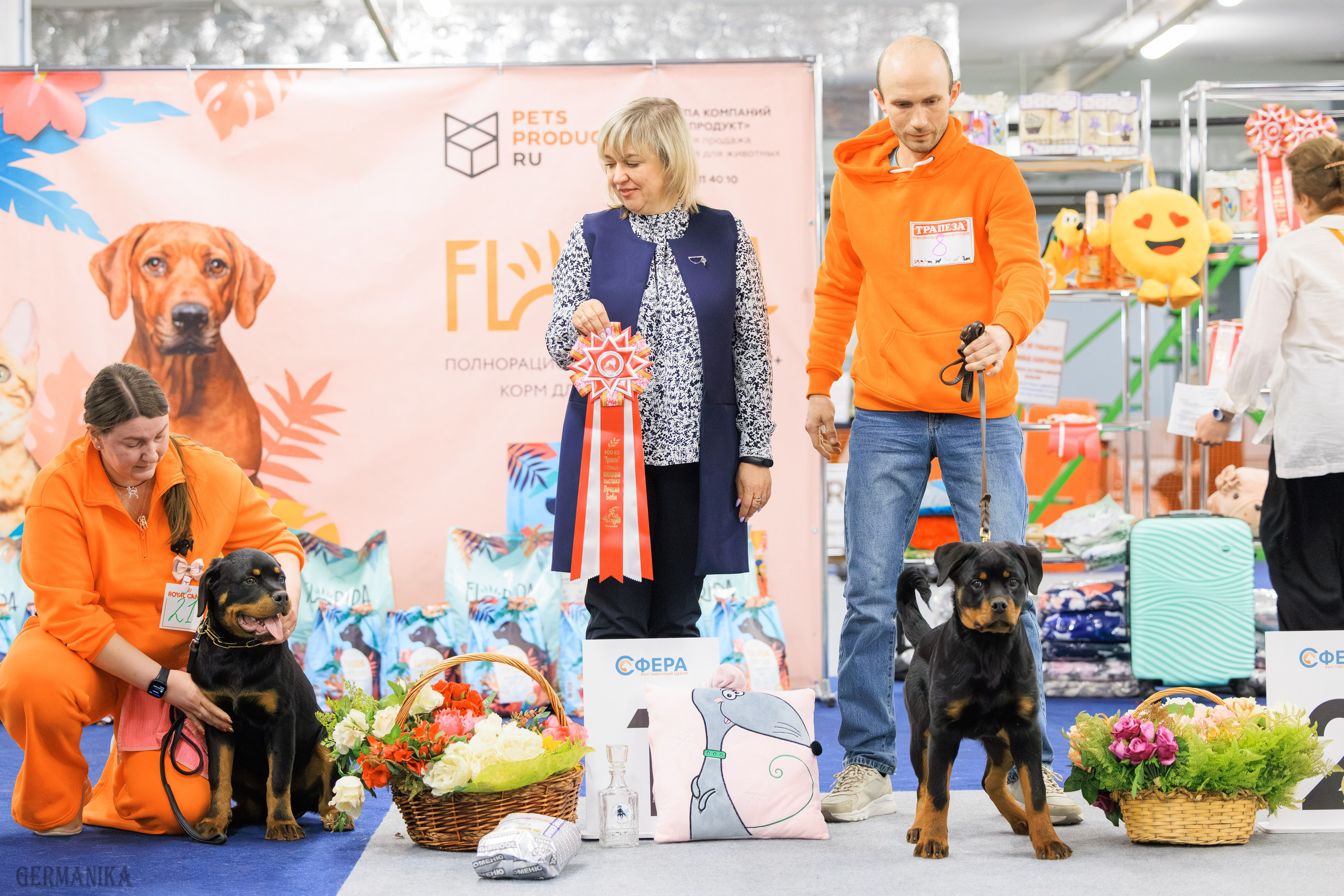 Сфера 08 и 10.03.2024 2хмоно ротвейлеров+2хмоно сао. Фотограф-анималист Юлия Германика