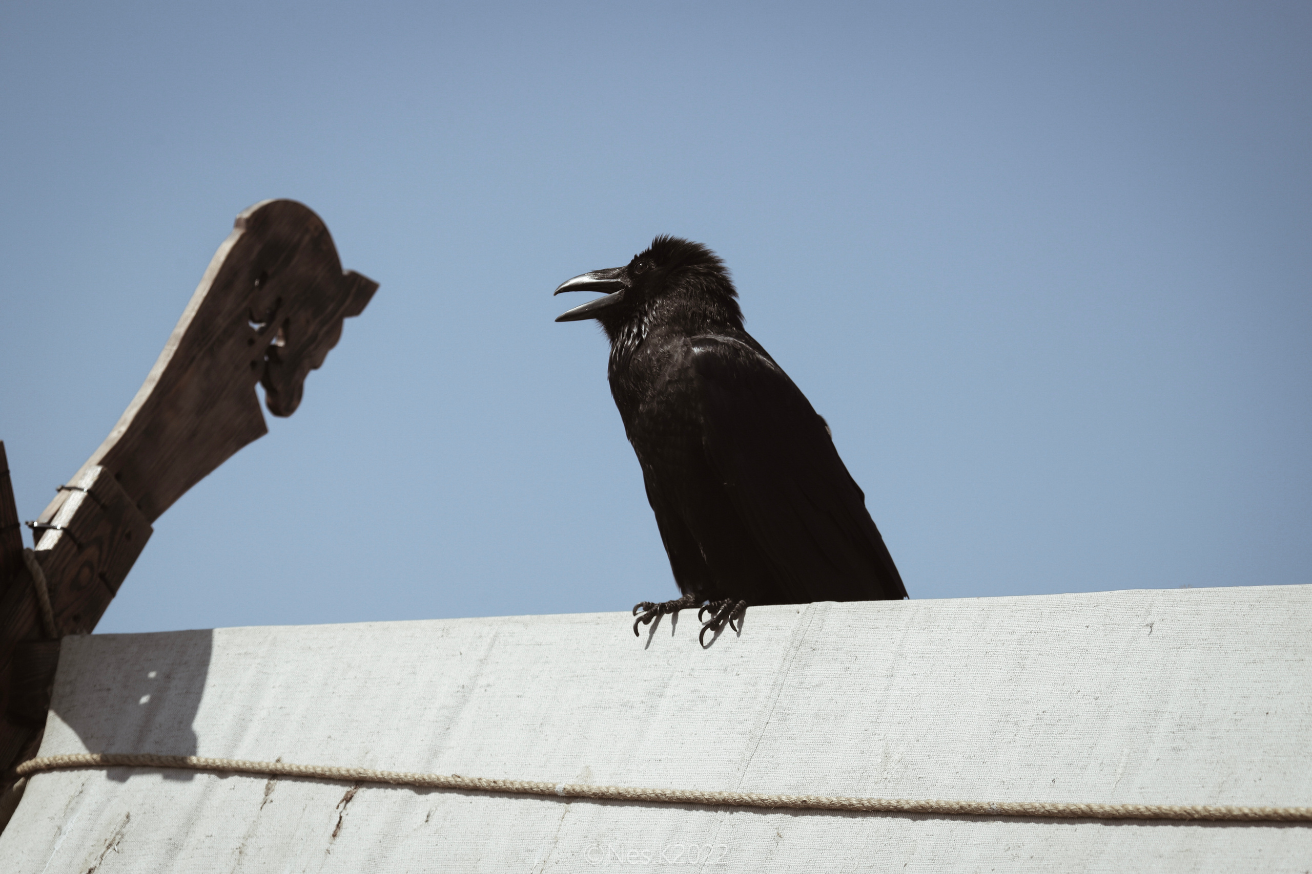 Атмосфера, люди и участники фестиваля. Профессиональный фотограф в Москве и МО